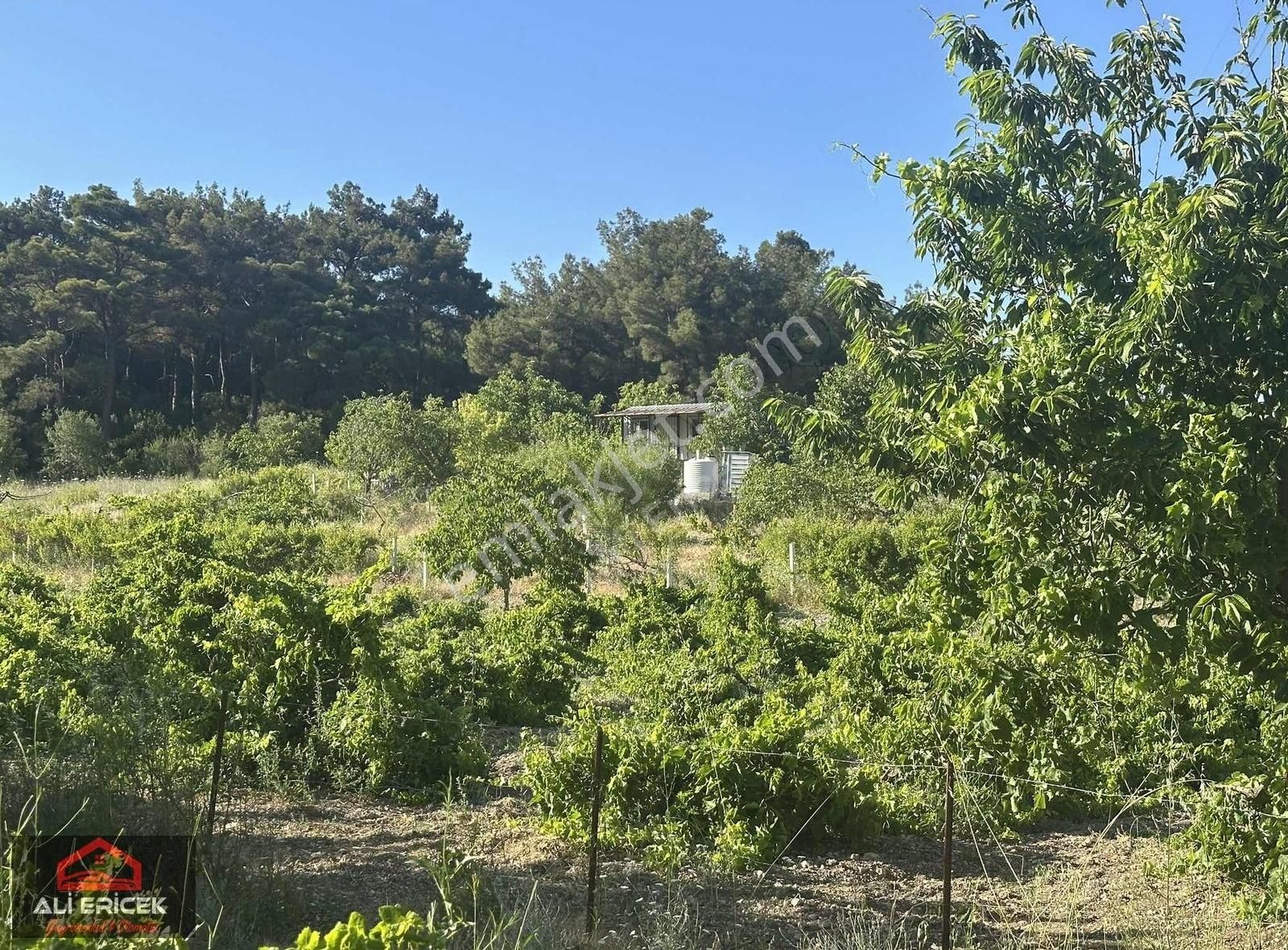 Bornova Yaka Da Kupon Bahçe - Görsel 21