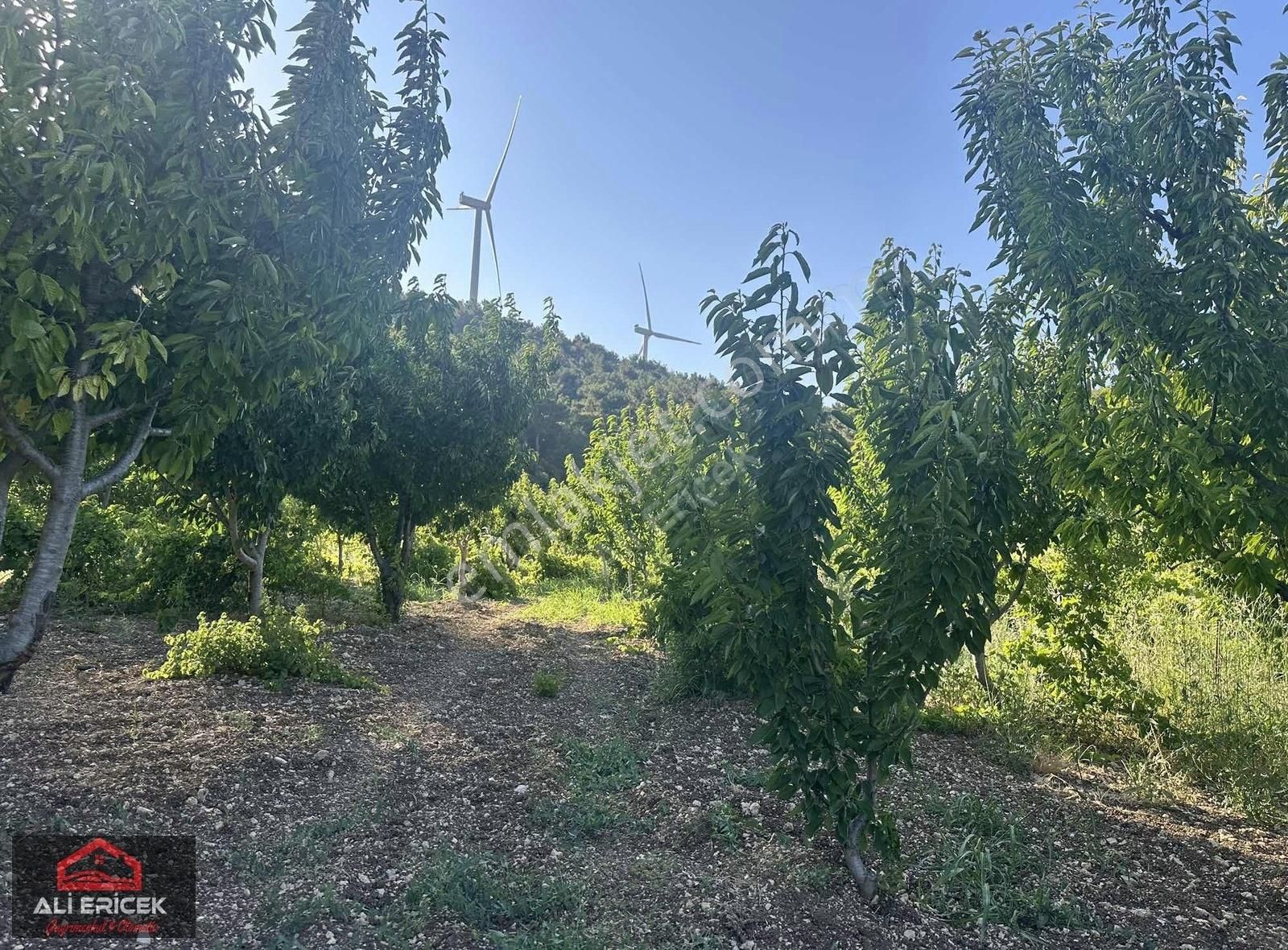 Bornova Yaka Da Kupon Bahçe - Görsel 17