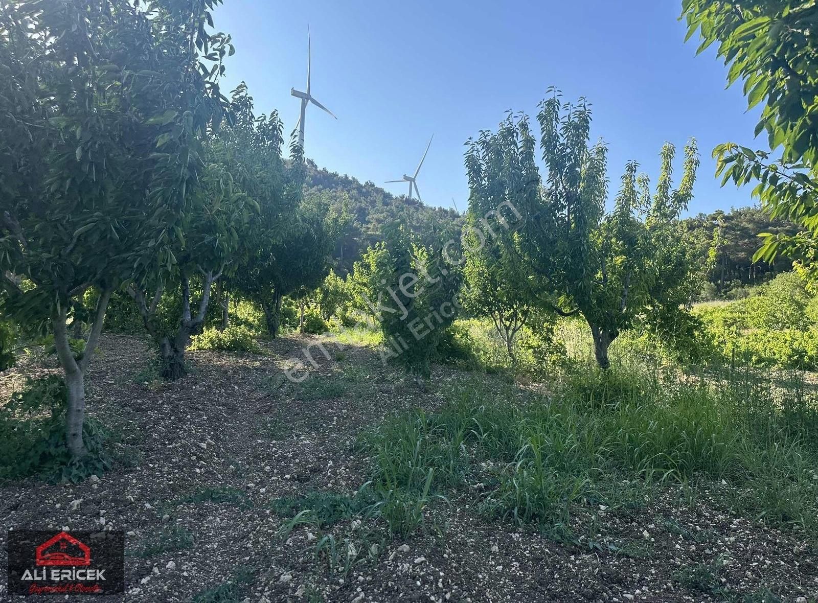 Bornova Yaka Da Kupon Bahçe - Görsel 27