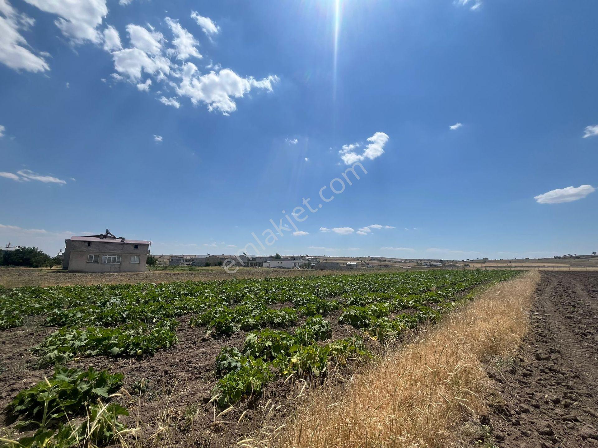 Talas Kepez Mh Ev Yapımına Uygun 2723m2 Satılık Arsa - Görsel 6