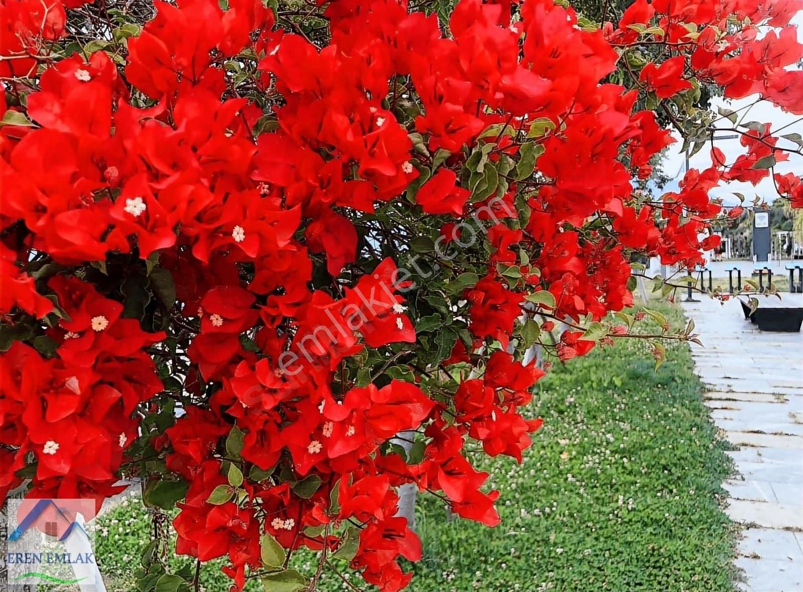 Antalya Liman'da Denize Yakın Ara Kat 2+1 Eşyalı Kiralık