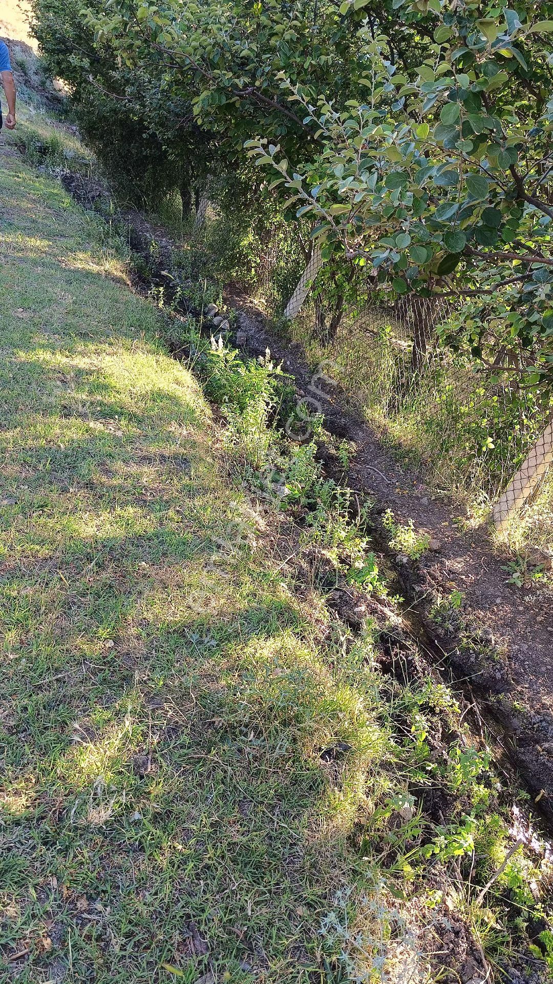 50 M2 Bahçe Yapımına Uygın Uygun