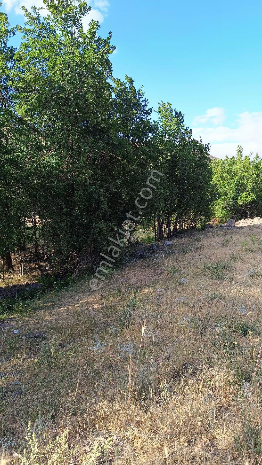 50 M2 Bahçe Yapımına Uygun - Görsel 9