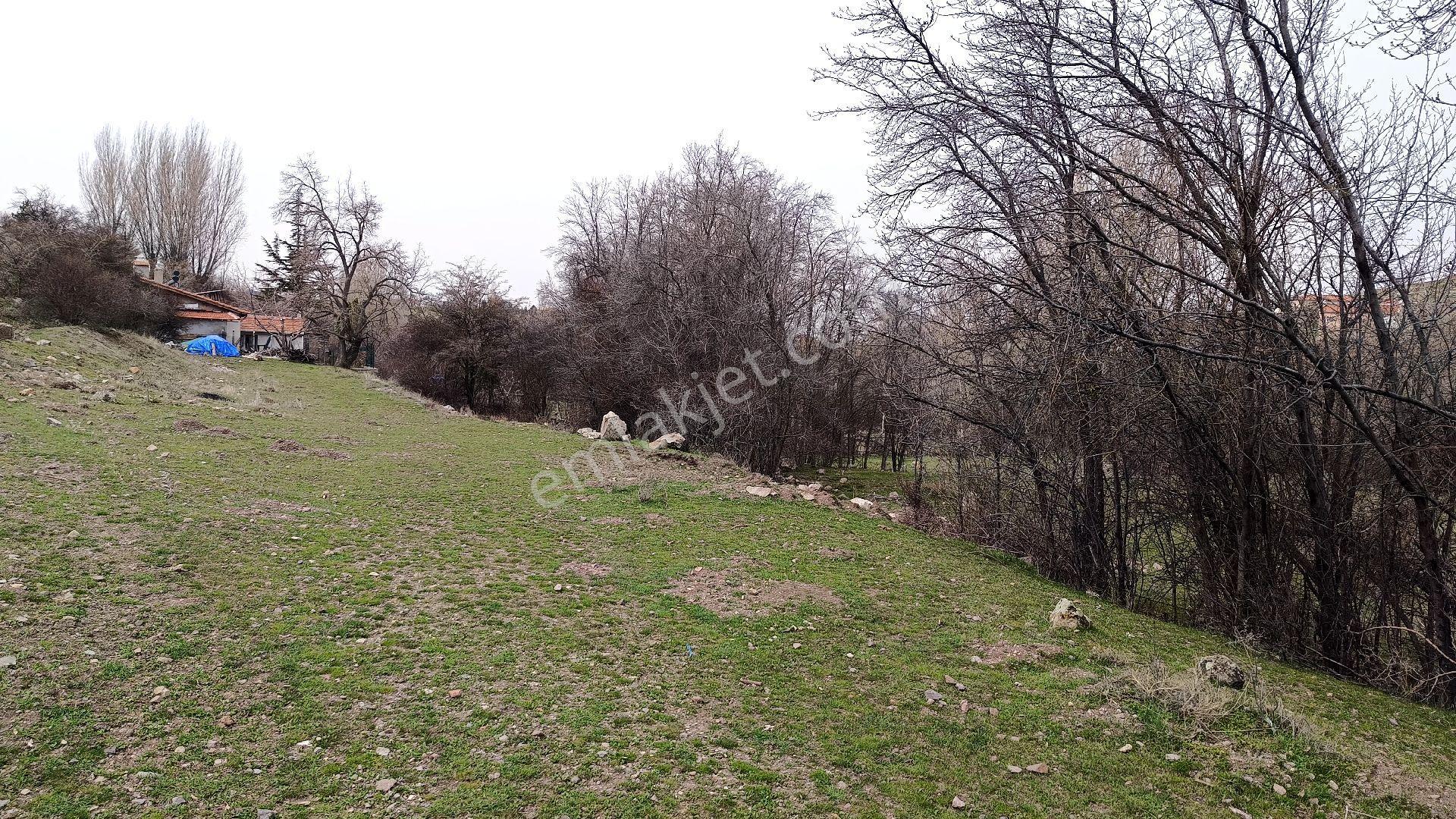 50 M2 Bahçe Yapımına Uygun - Görsel 11