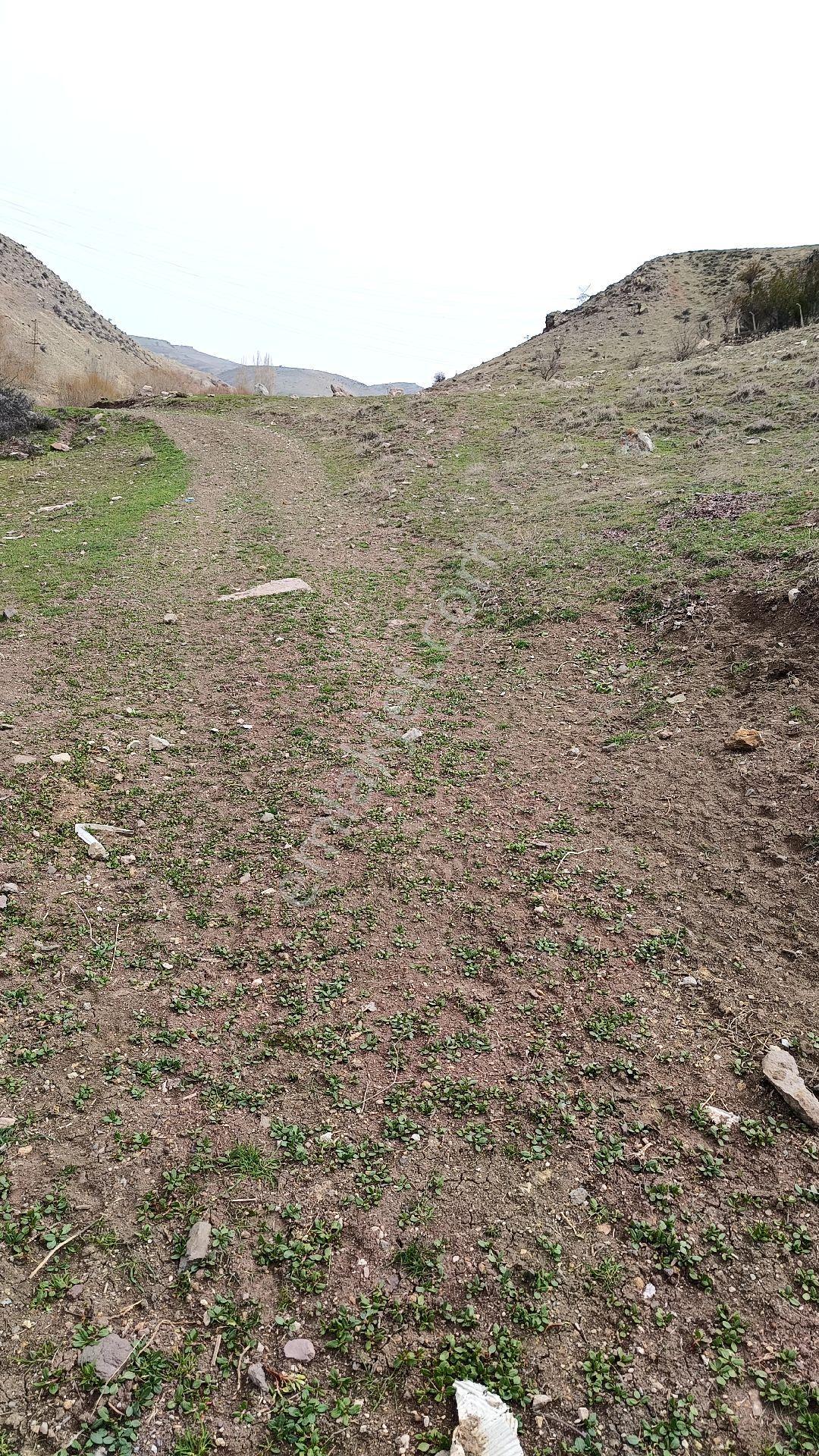 50 M2 Bahçe Yapımına Uygun - Görsel 6