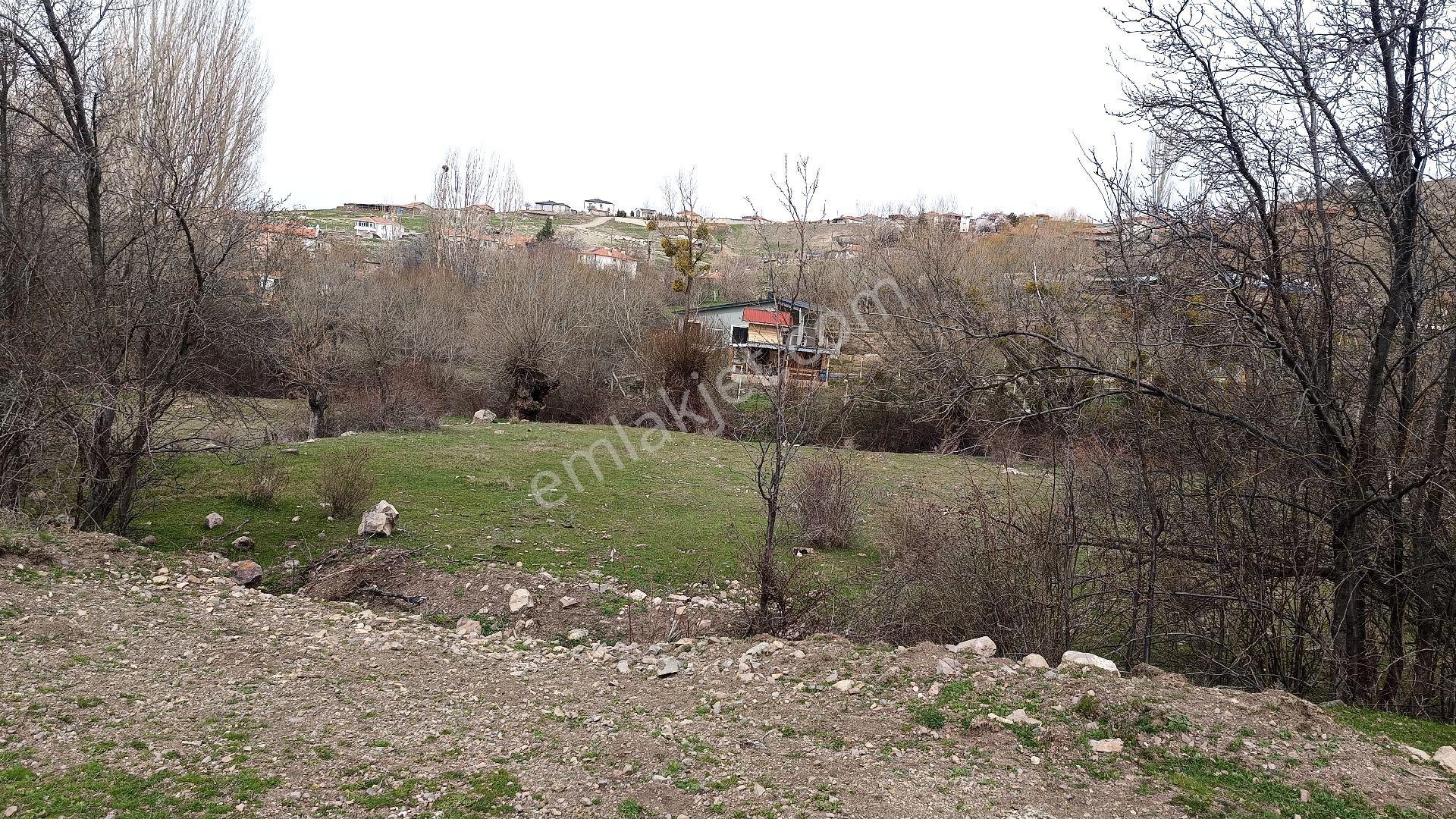 50 M2 Bahçe Yapımına Uygun - Görsel 10