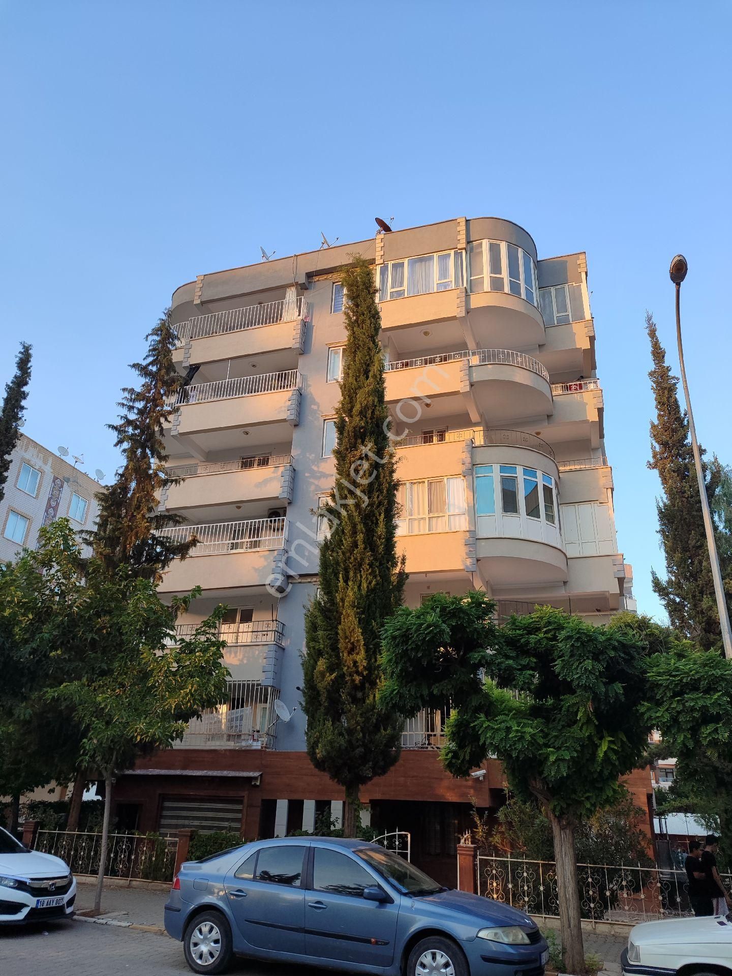 Cadde 17 Emlaktan Şenevlerin Kalbinde 3+1 Son Kat