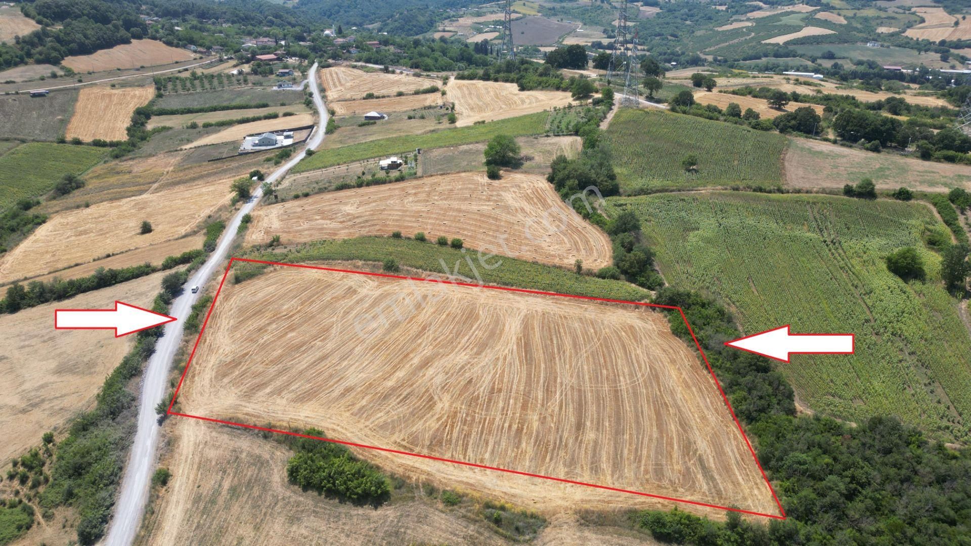 Yalova Altınova Fevziye 14.672 M2 Satılık Tarla