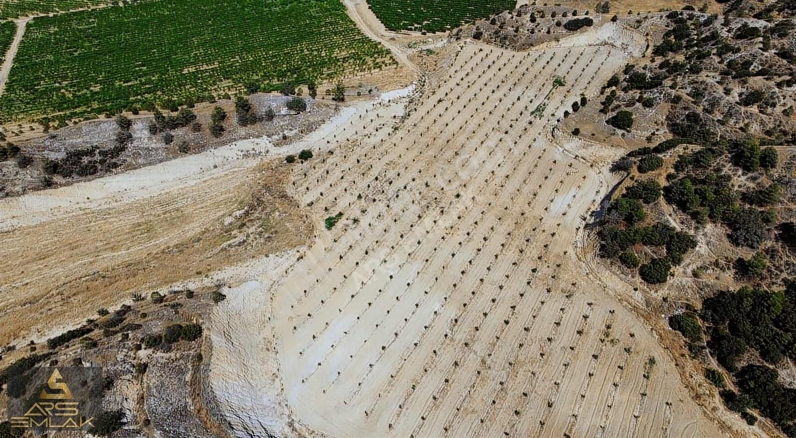 Ars'den Satılık Buldan Bölmekaya Kupon Arazi Sondaj Su 19.000 M2 - Görsel 13