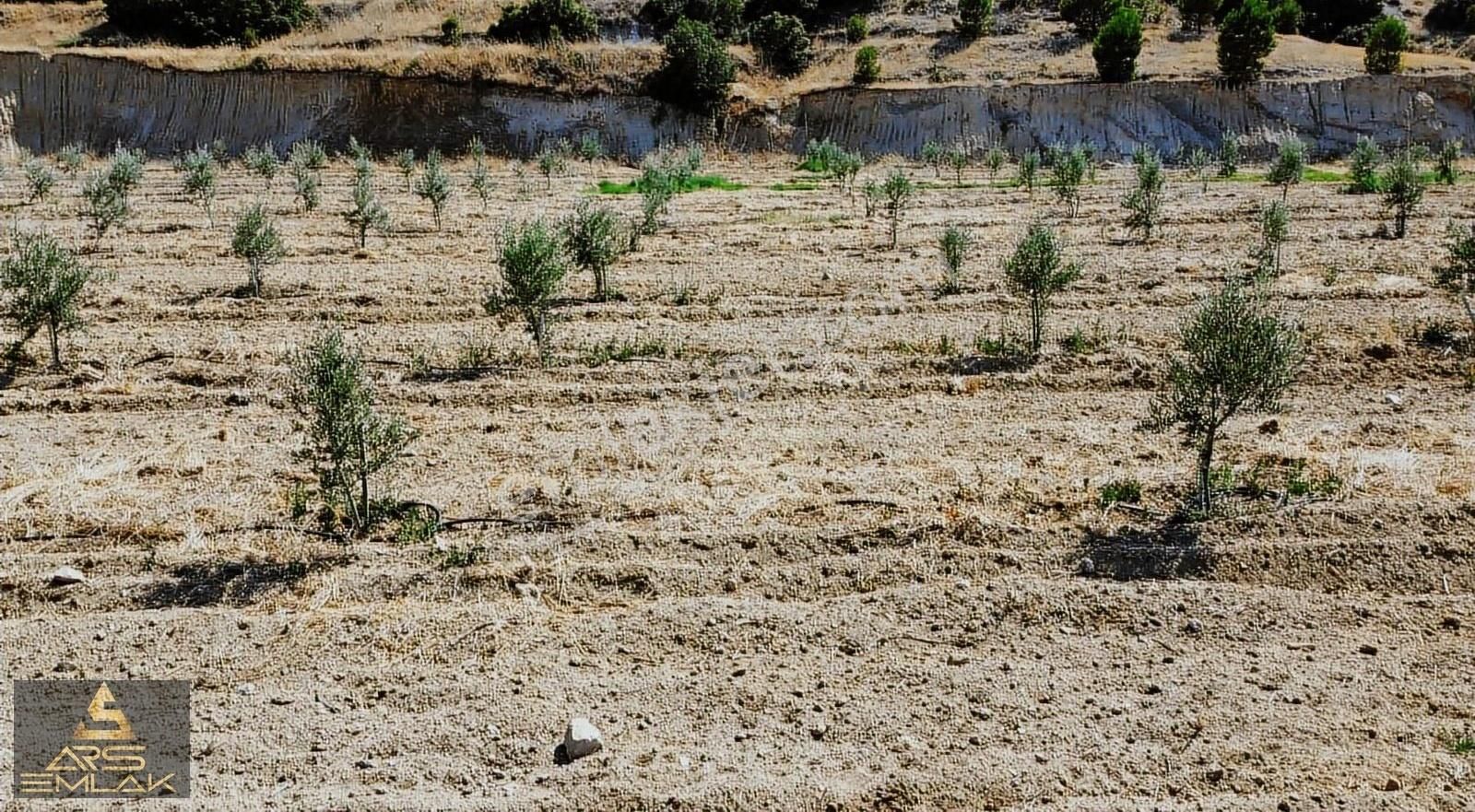 Ars'den Satılık Buldan Bölmekaya Kupon Arazi Sondaj Su 19.000 M2 - Görsel 18