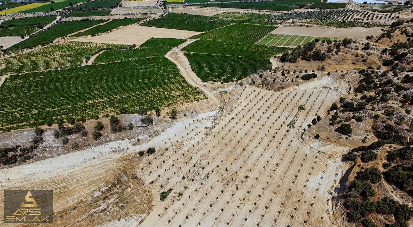 Ars'den Satılık Buldan Bölmekaya Kupon Arazi Sondaj Su 19.000 M2 - Görsel 5