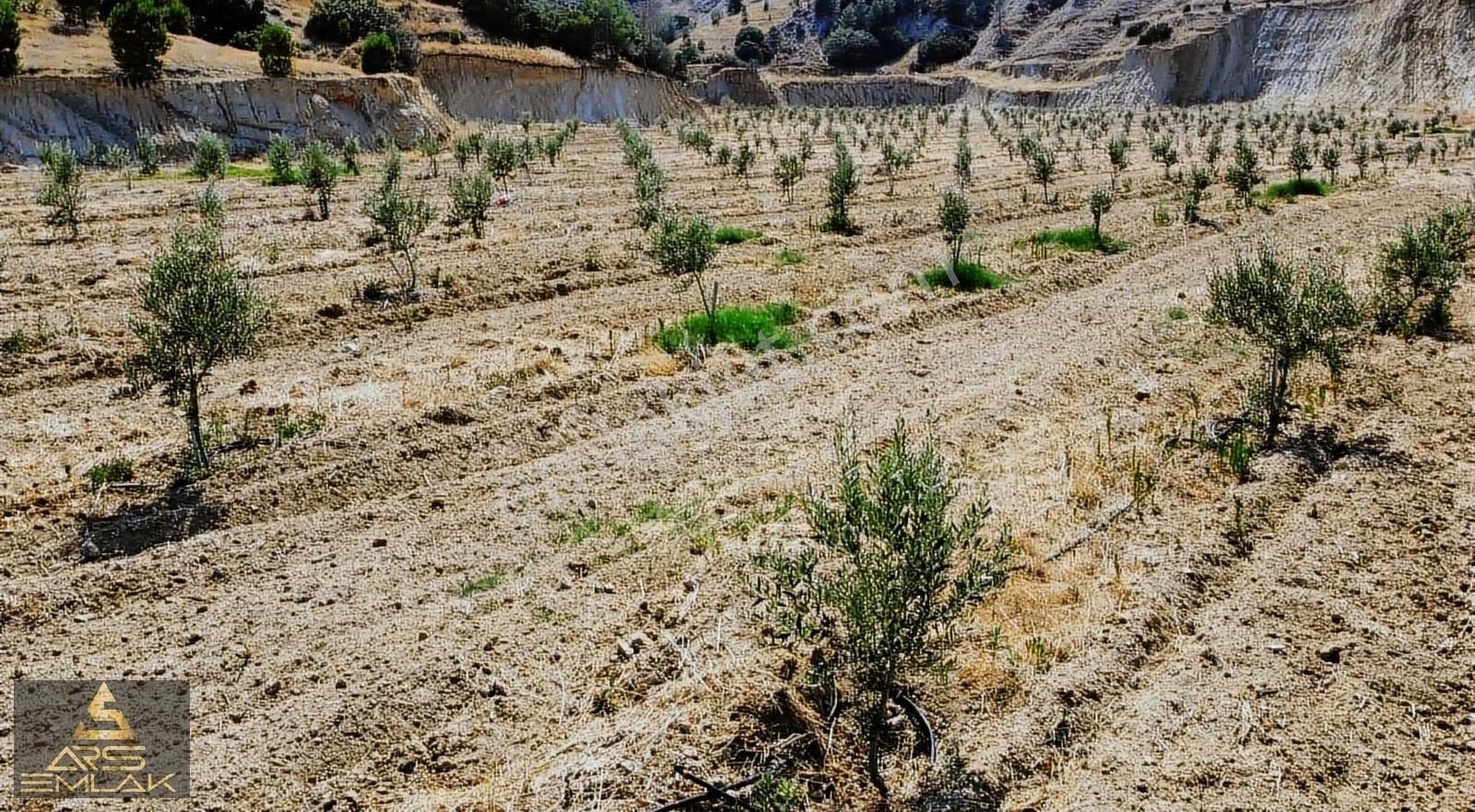 Ars'den Satılık Buldan Bölmekaya Kupon Arazi Sondaj Su 19.000 M2 - Görsel 11