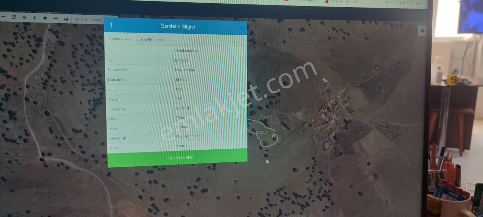 Afyon Tezcan Emlaktan Muhtelif Yerlerde Tarla Hepsi - Görsel 8