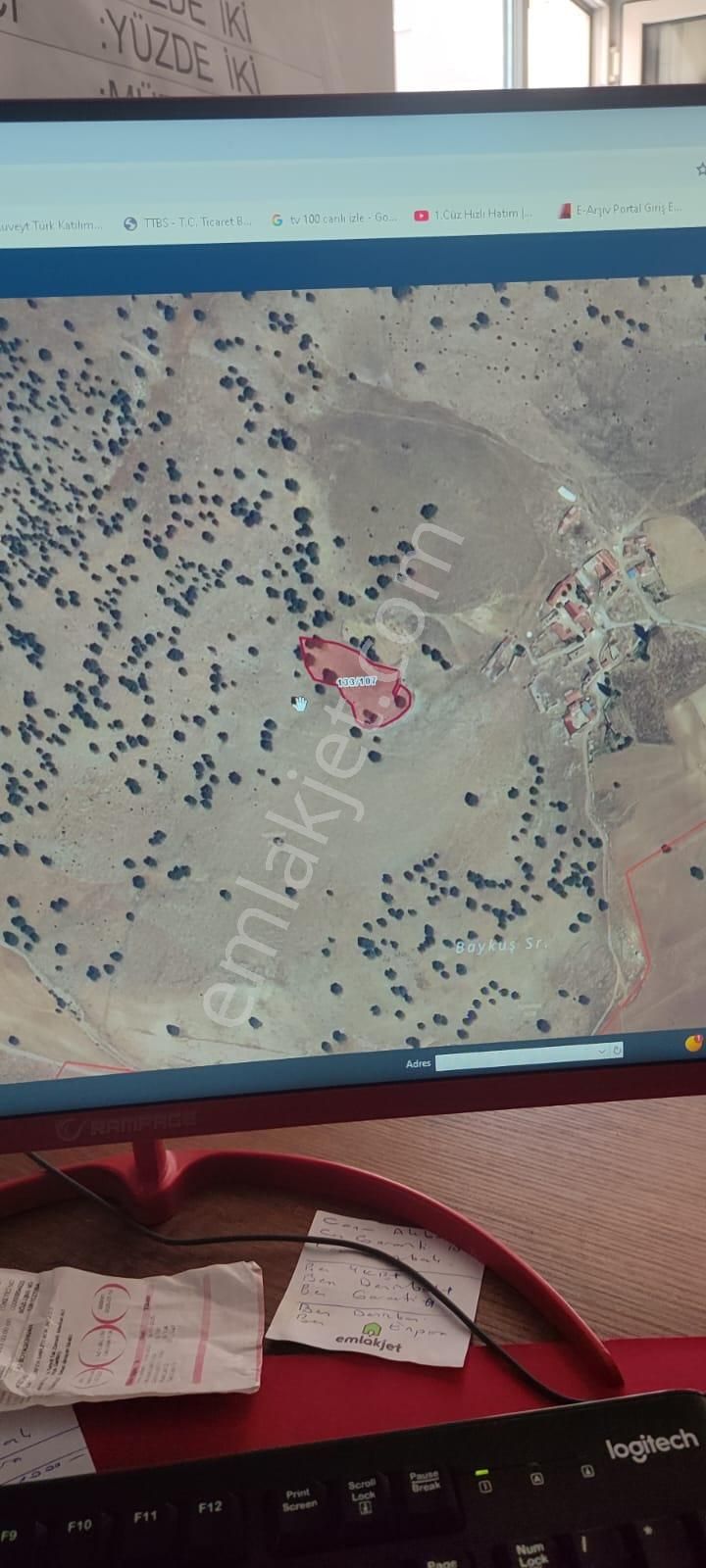 Afyon Tezcan Emlaktan Muhtelif Yerlerde Tarla Hepsi - Görsel 7