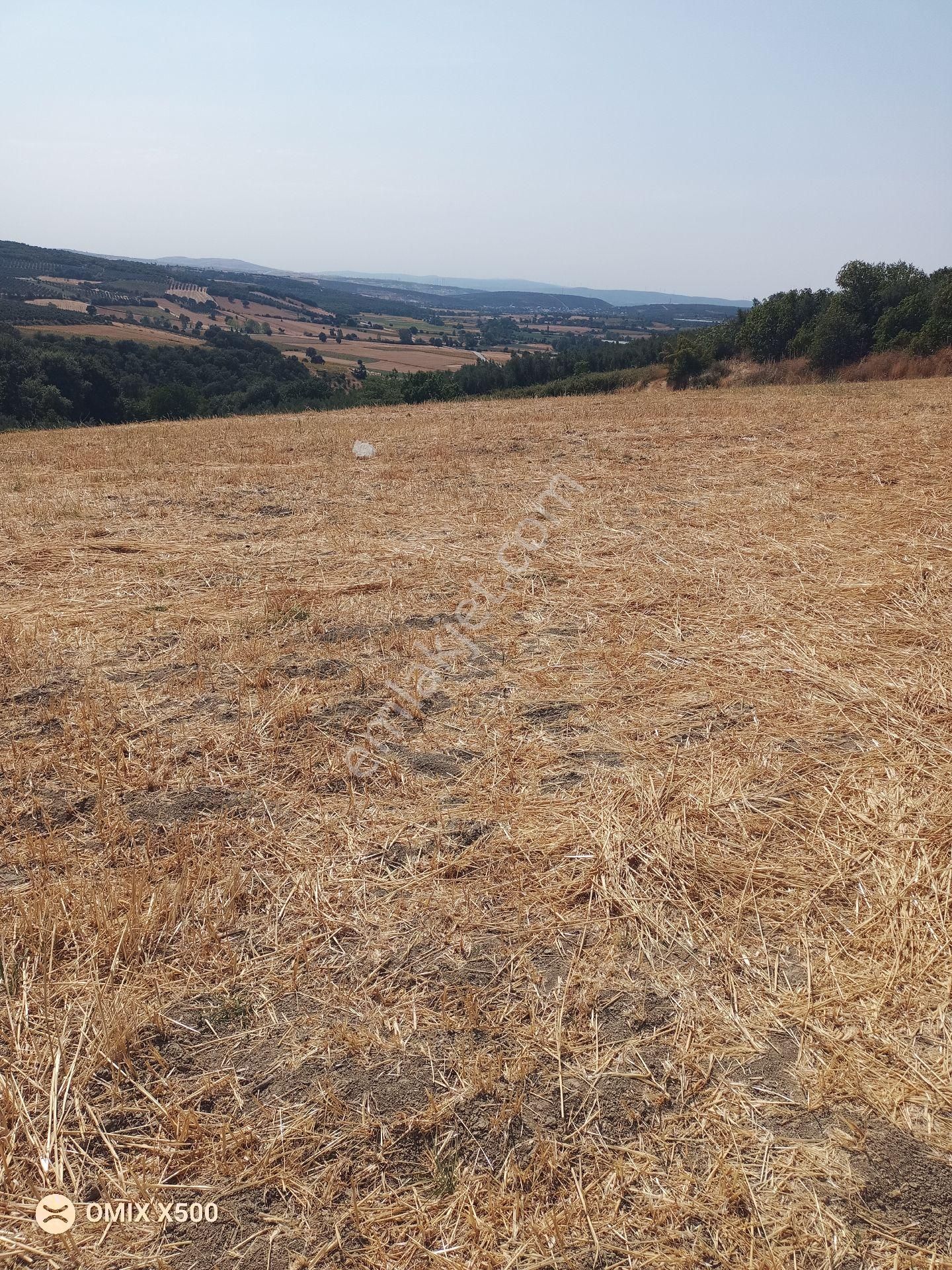 Bursa Nilüfer Konaklı Satılık Tarla Hissesi - Görsel 22