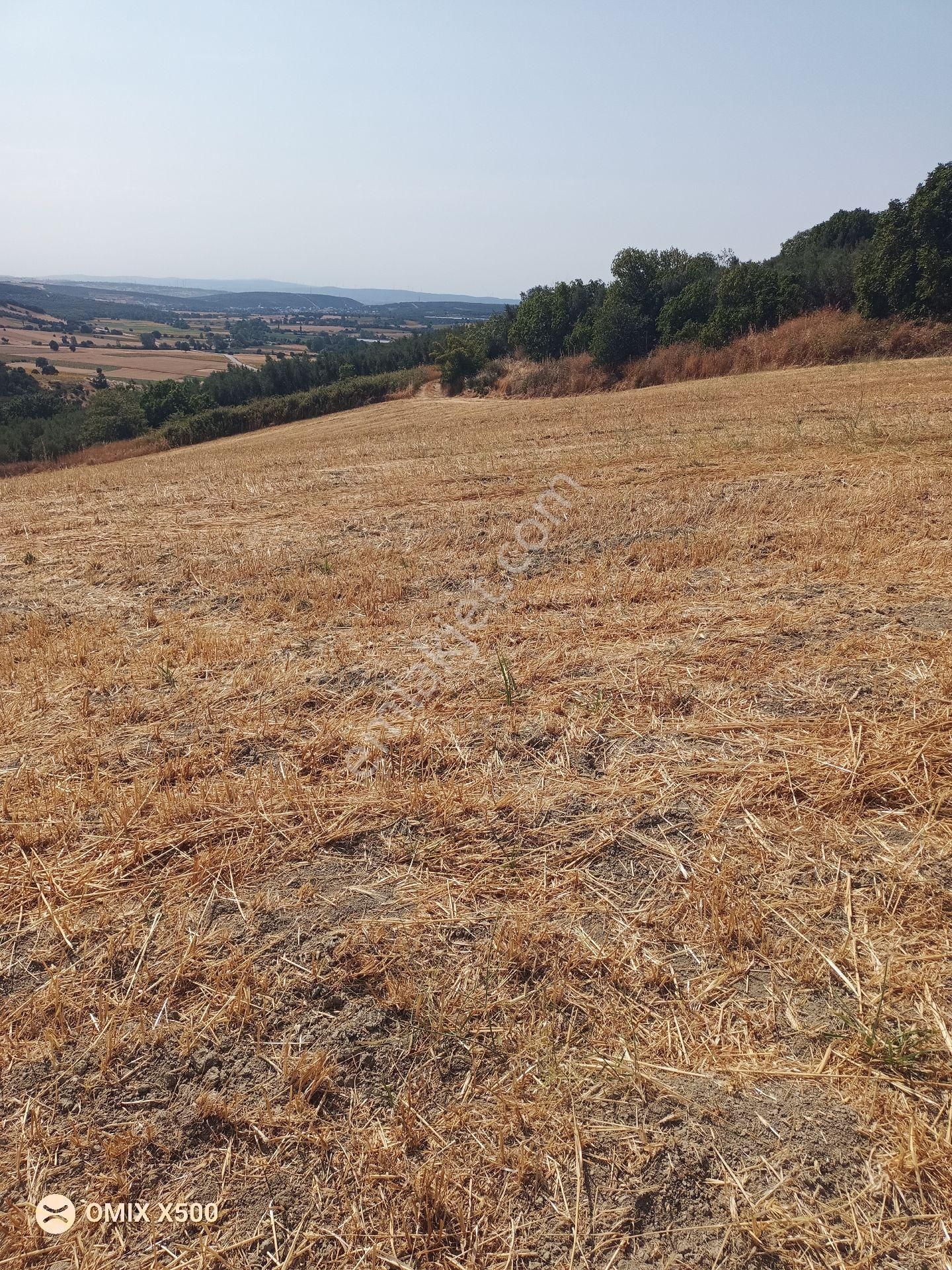 Bursa Nilüfer Konaklı Satılık Tarla Hissesi - Görsel 5