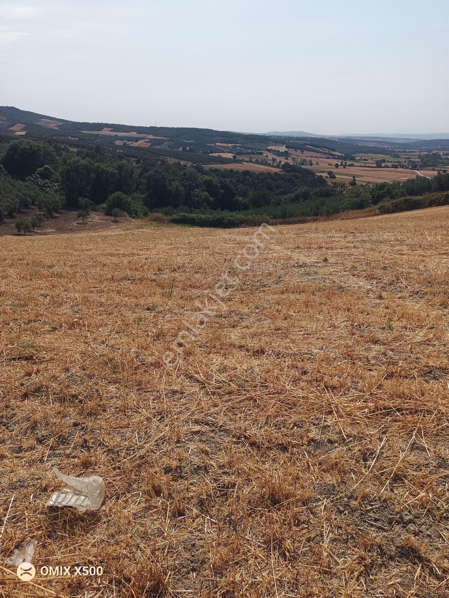 Bursa Nilüfer Konaklı Satılık Tarla Hissesi - Görsel 8