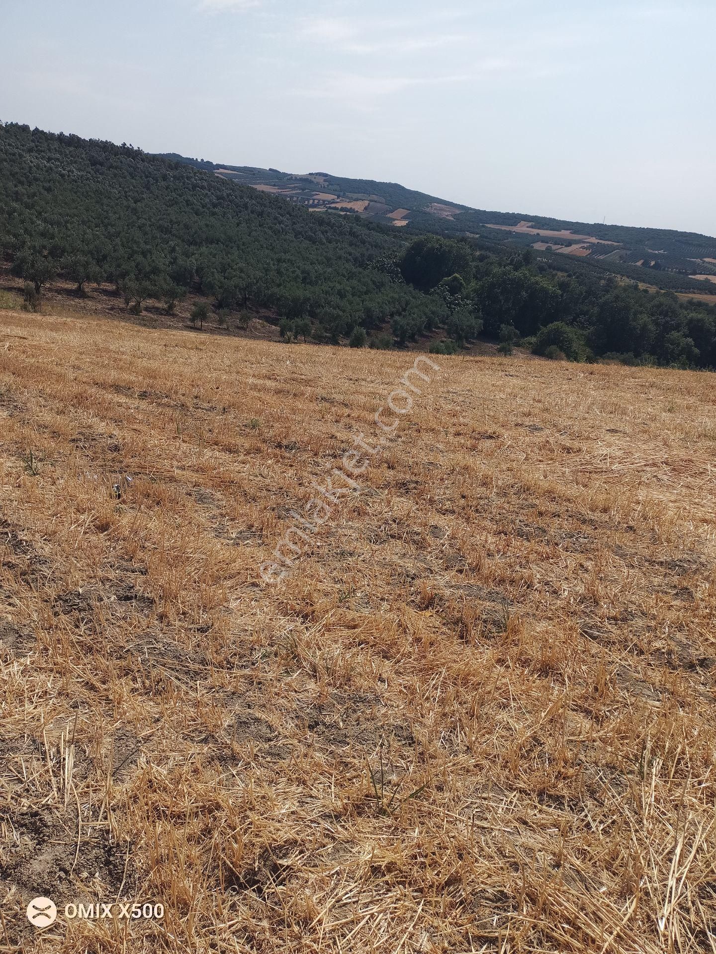 Bursa Nilüfer Konaklı Satılık Tarla Hissesi - Görsel 20