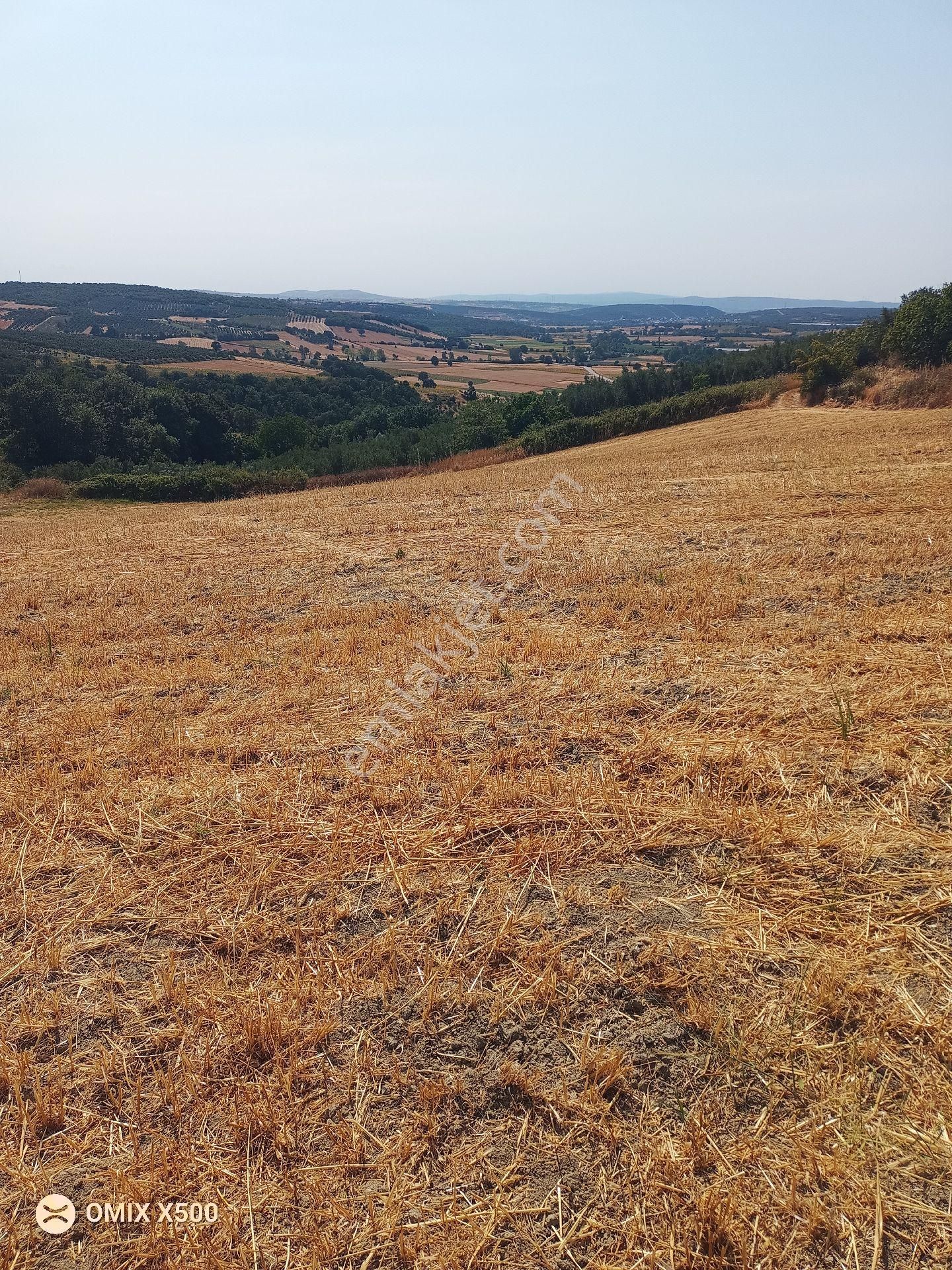 Bursa Nilüfer Konaklı Satılık Tarla Hissesi - Görsel 17