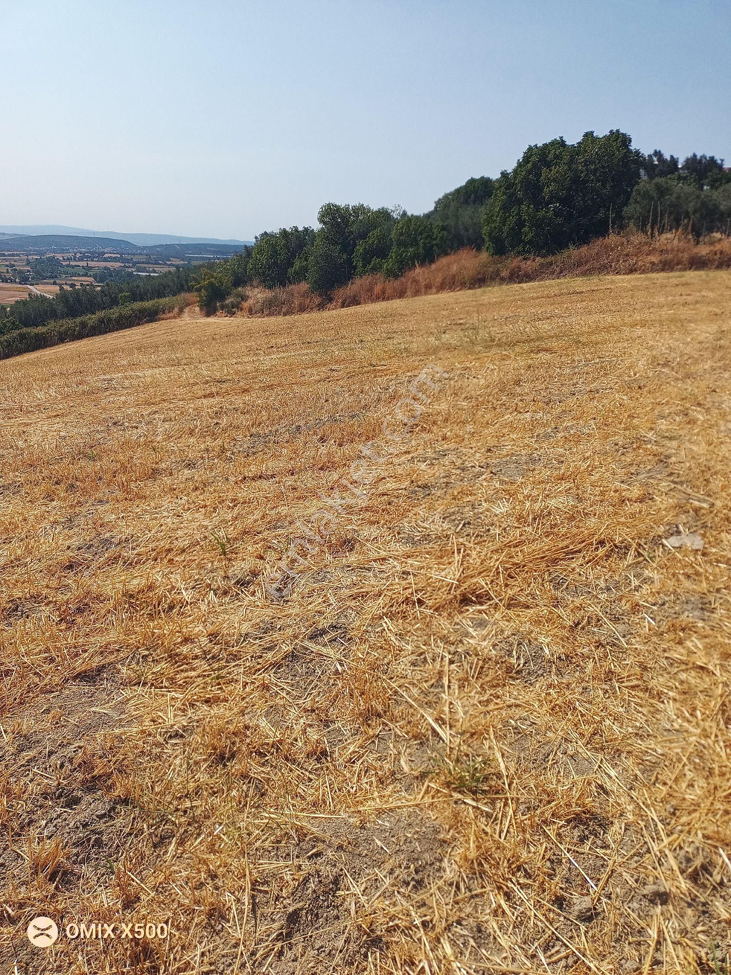 Bursa Nilüfer Konaklı Satılık Tarla Hissesi - Görsel 18
