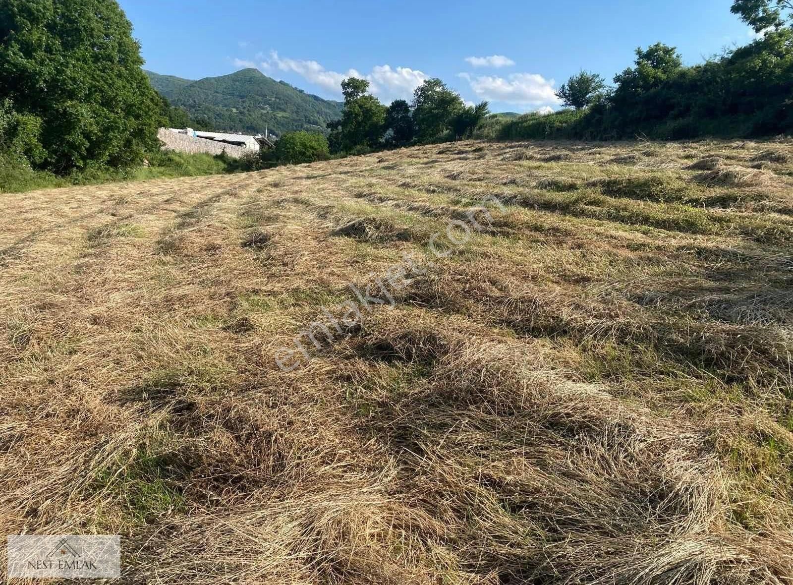 Kartepe De Acil Satılık Tarla