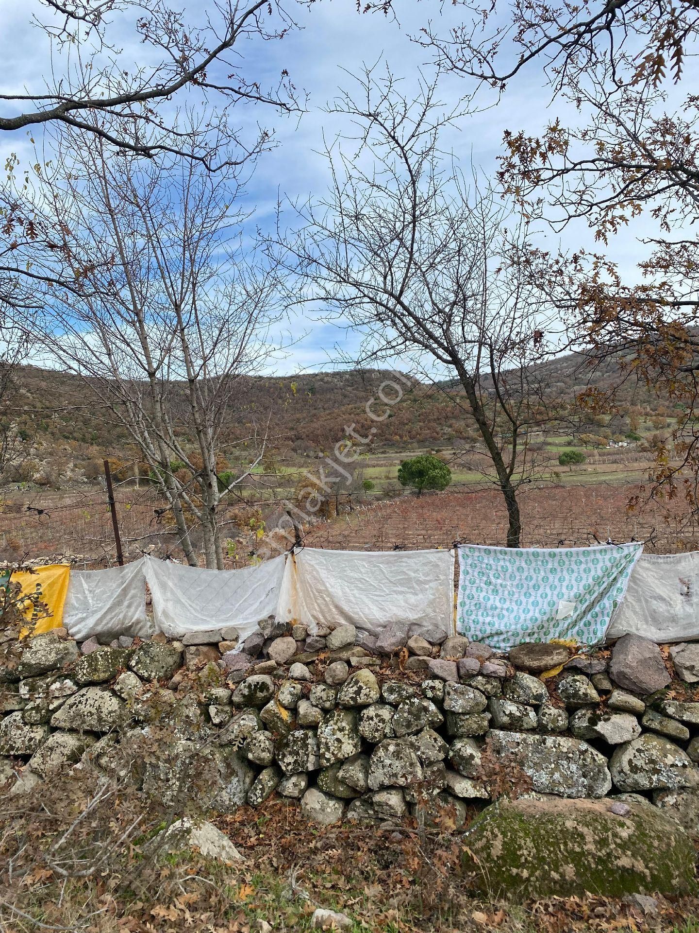 Satılık Tarla