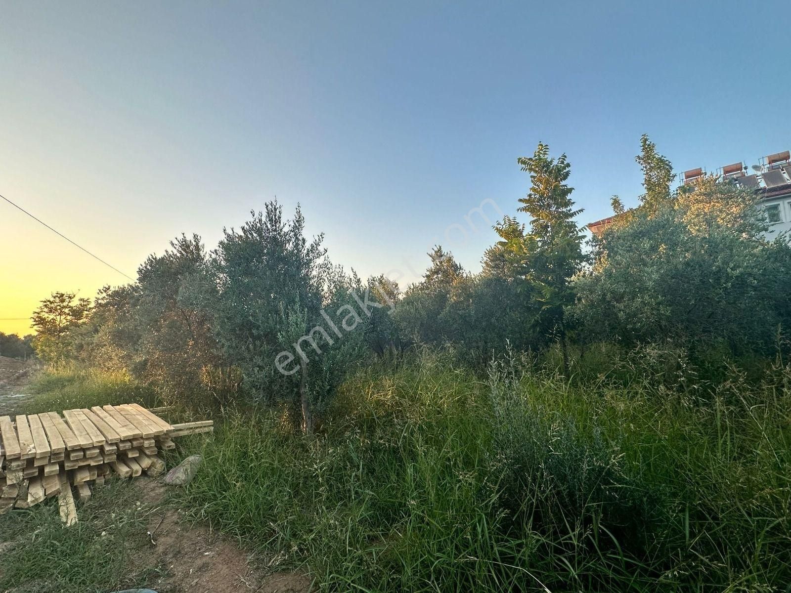 Stop’tan Esenköy 1.250m² Arazi - Görsel 17