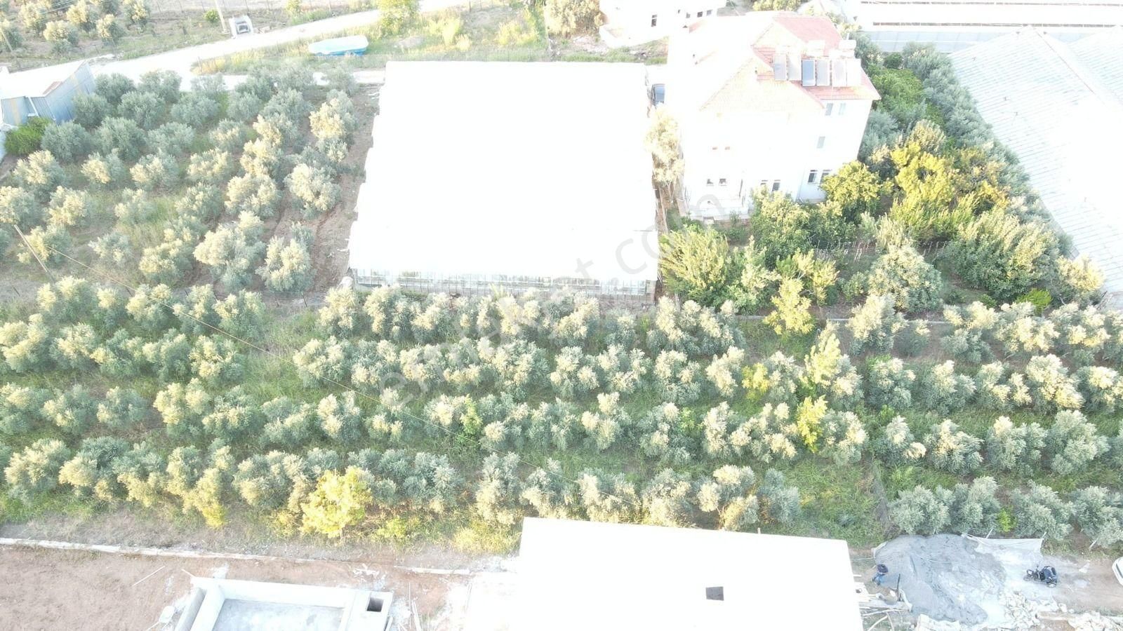 Stop’tan Esenköy 1.250m² Arazi - Görsel 3