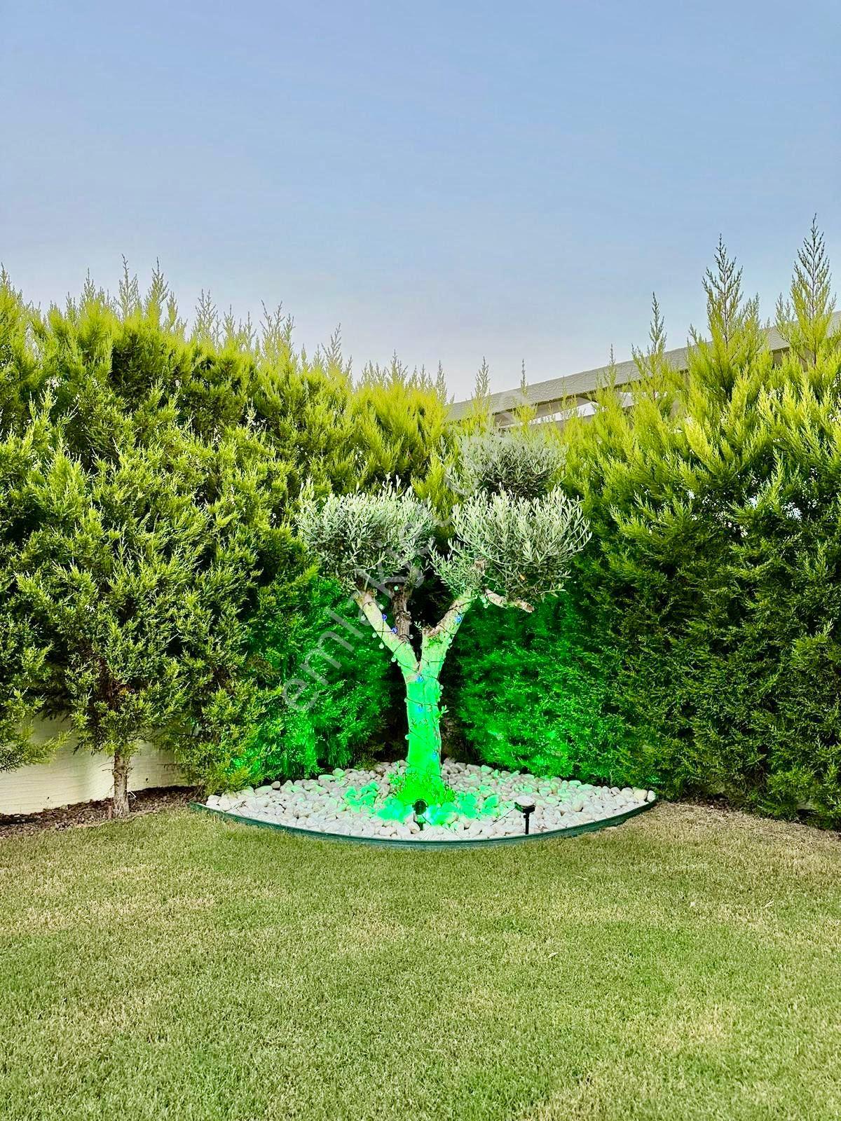 Tek Müstakil Özel Havuzlu 4+1 Full Eşyalı Yok Yok - Görsel 31