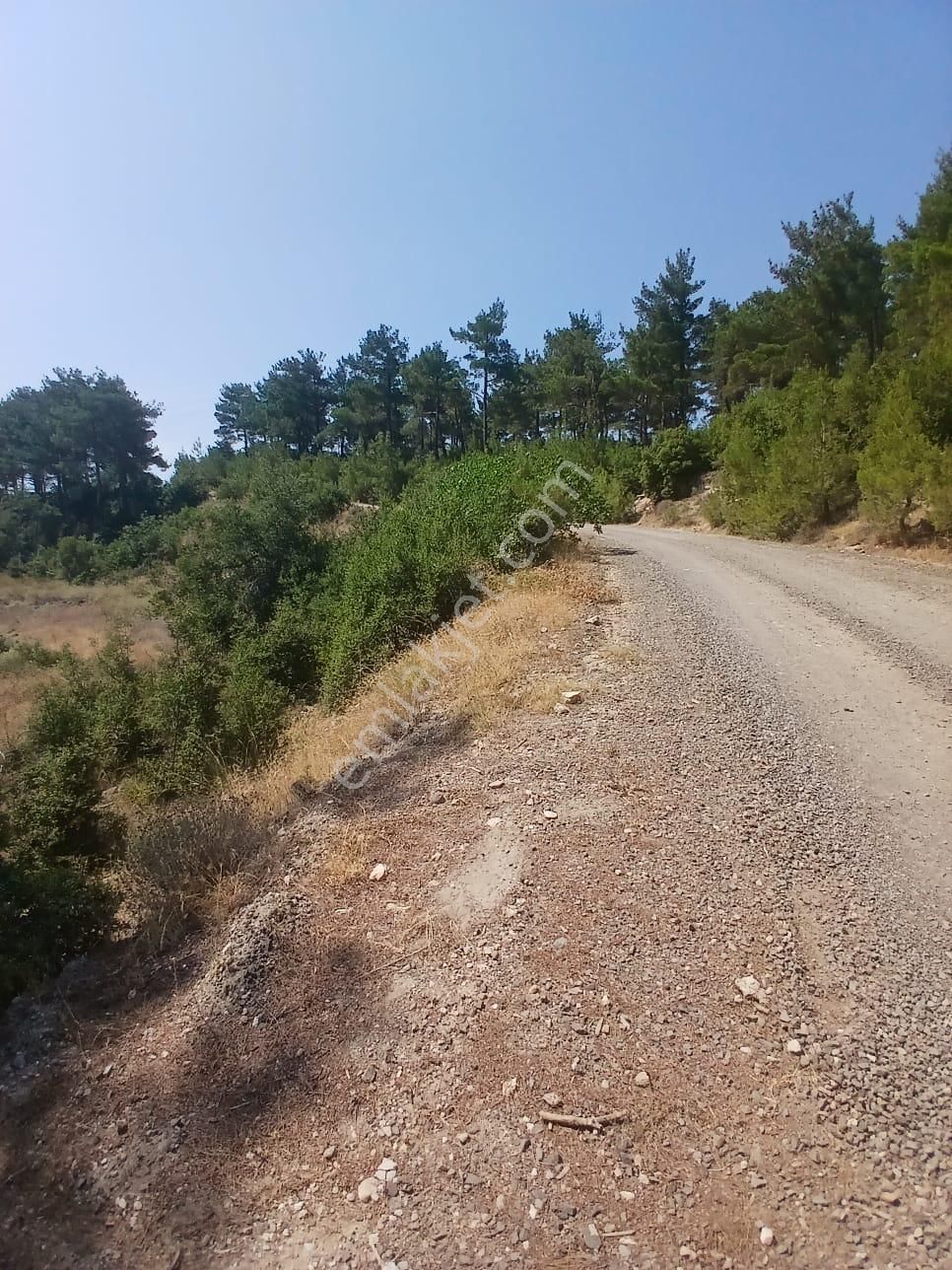 Lapseki Umurbey Yola Cephe 6 Dönüm Tarla - Görsel 5