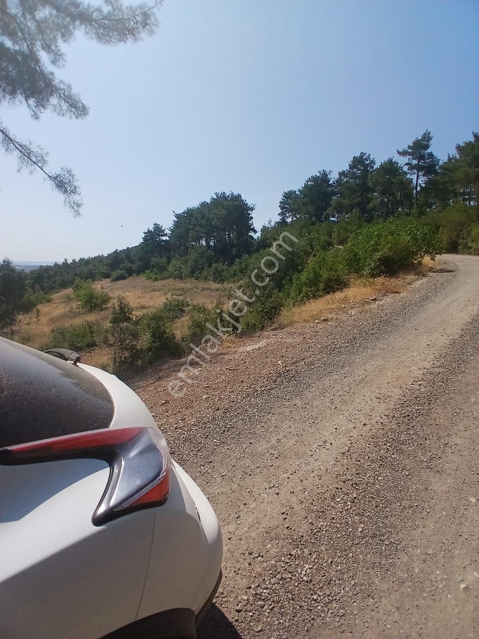 Lapseki Umurbey Yola Cephe 6 Dönüm Tarla - Görsel 10