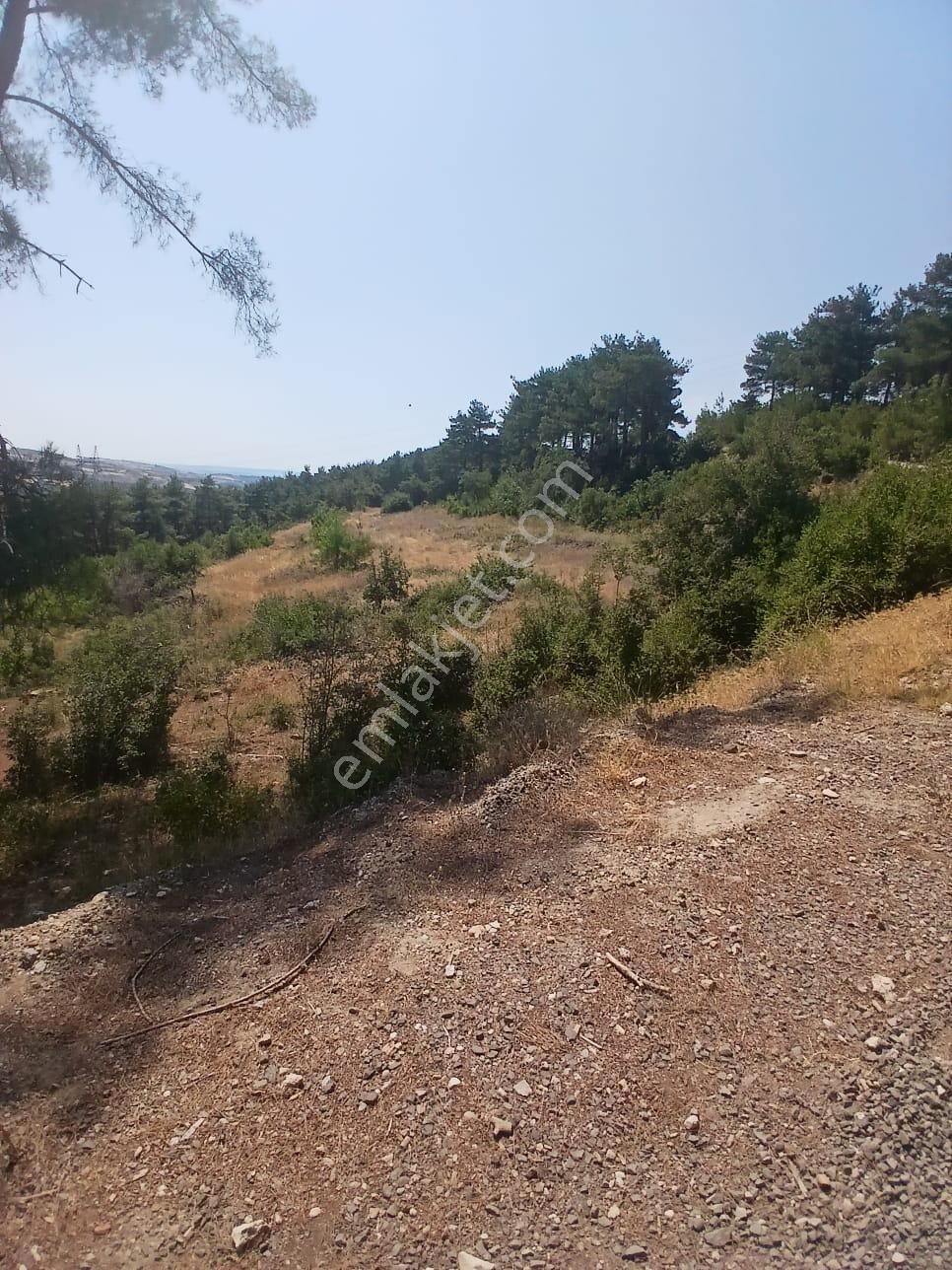 Lapseki Umurbey Yola Cephe 6 Dönüm Tarla - Görsel 8