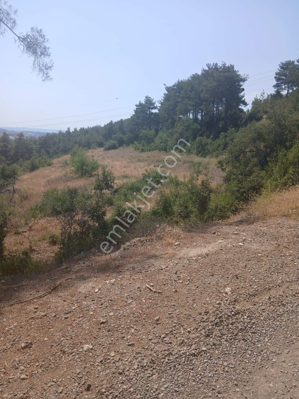 Lapseki Umurbey Yola Cephe 6 Dönüm Tarla - Görsel 13