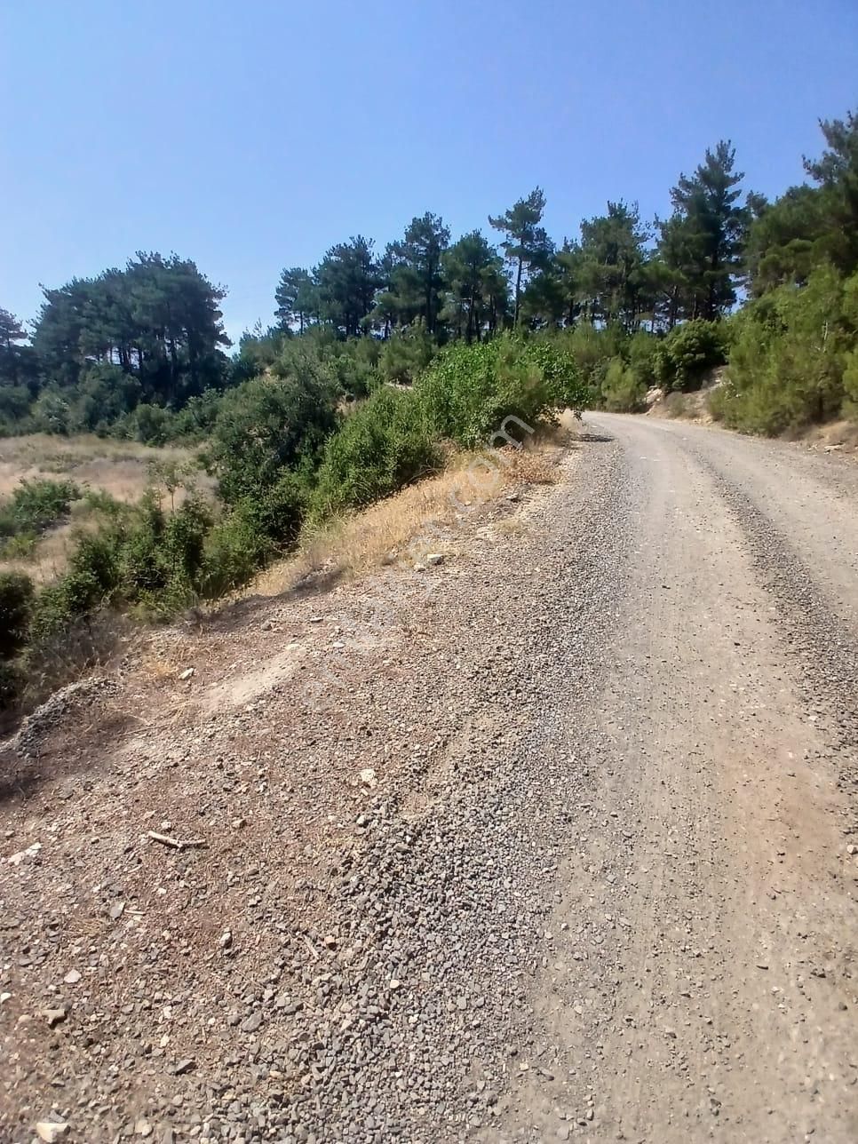 Lapseki Umurbey Yola Cephe 6 Dönüm Tarla - Görsel 4