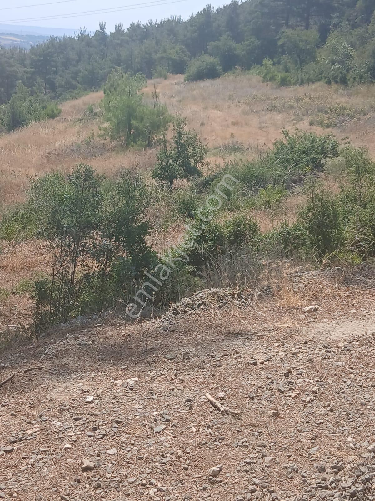 Lapseki Umurbey Yola Cephe 6 Dönüm Tarla - Görsel 15