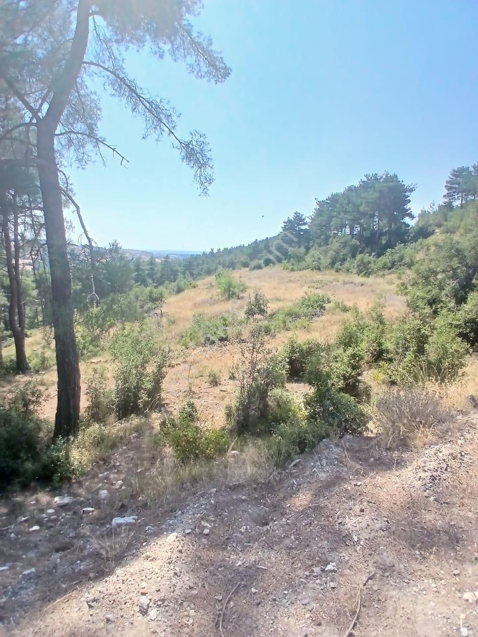 Lapseki Umurbey Yola Cephe 6 Dönüm Tarla