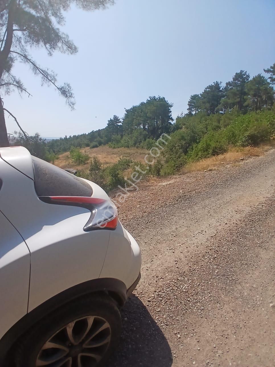 Lapseki Umurbey Yola Cephe 6 Dönüm Tarla - Görsel 11