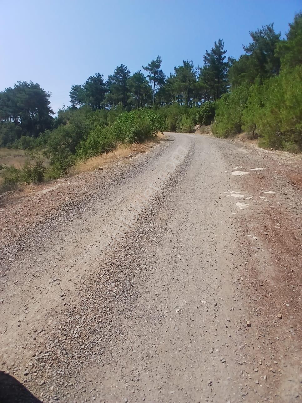 Lapseki Umurbey Yola Cephe 6 Dönüm Tarla - Görsel 14