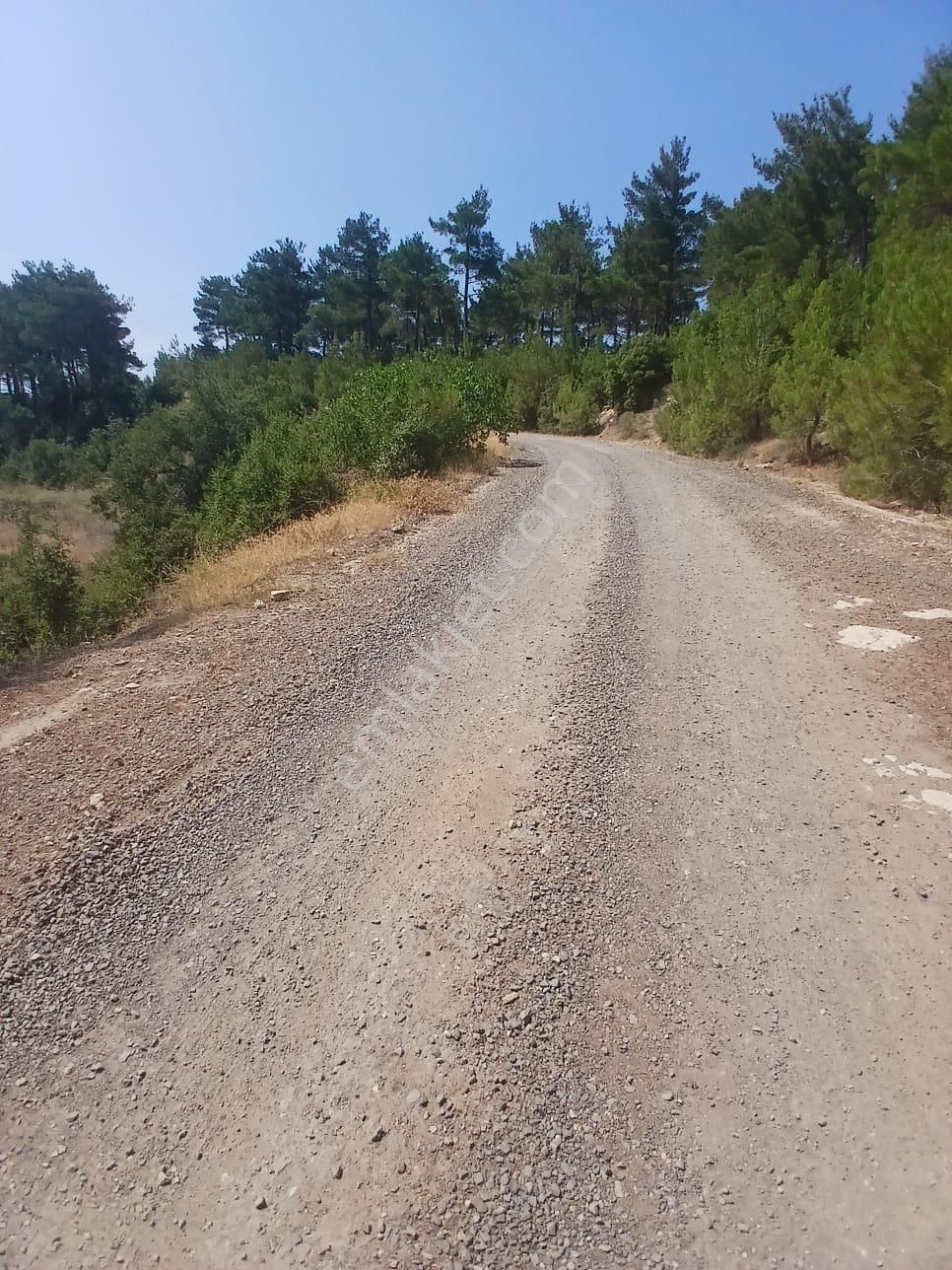 Lapseki Umurbey Yola Cephe 6 Dönüm Tarla - Görsel 16