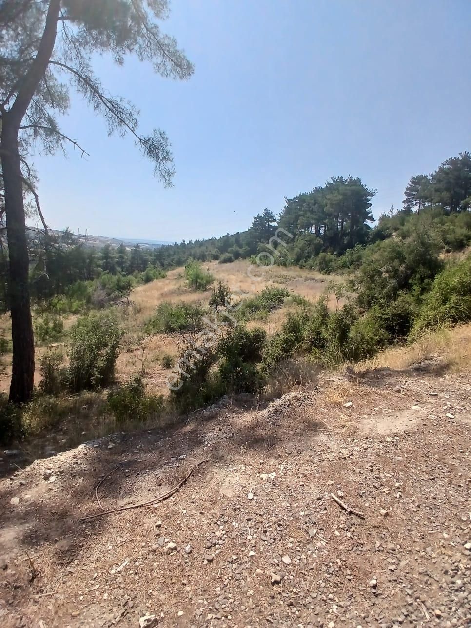 Lapseki Umurbey Yola Cephe 6 Dönüm Tarla - Görsel 7