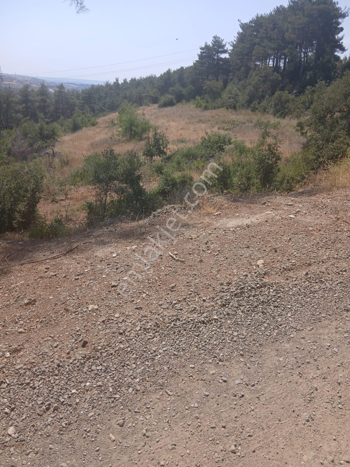 Lapseki Umurbey Yola Cephe 6 Dönüm Tarla - Görsel 12