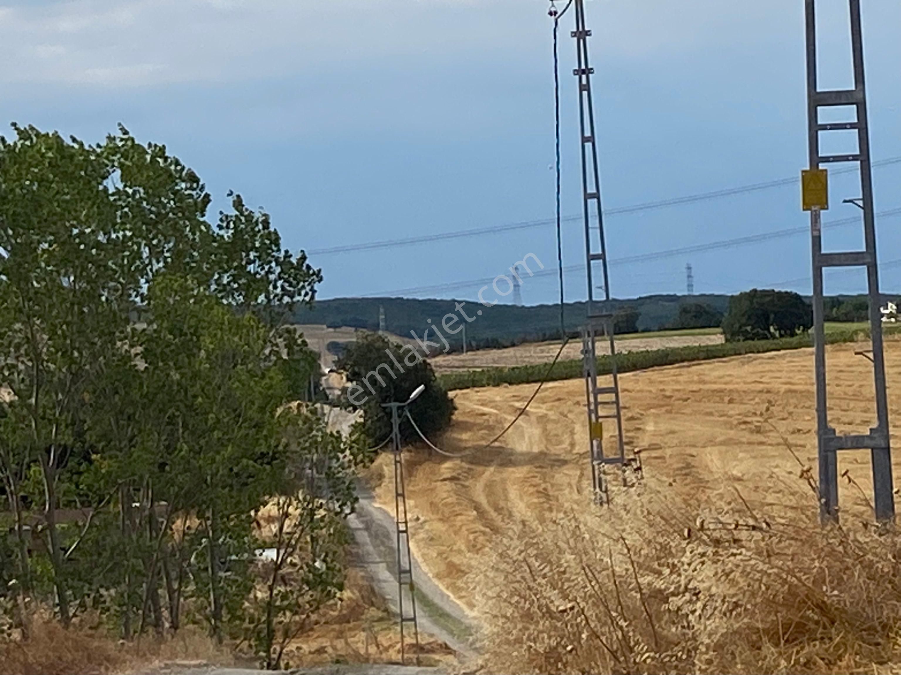 Istanbul Silivri Büyukkılıçlı Satılık Arsa - Görsel 19