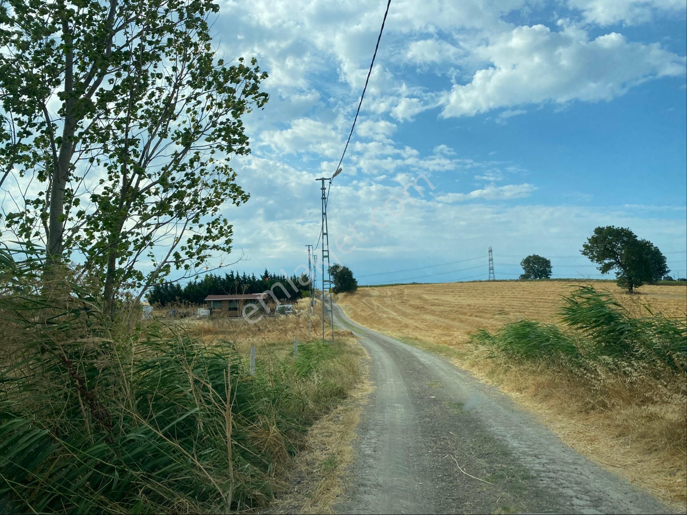 Istanbul Silivri Büyukkılıçlı Satılık Arsa - Görsel 14