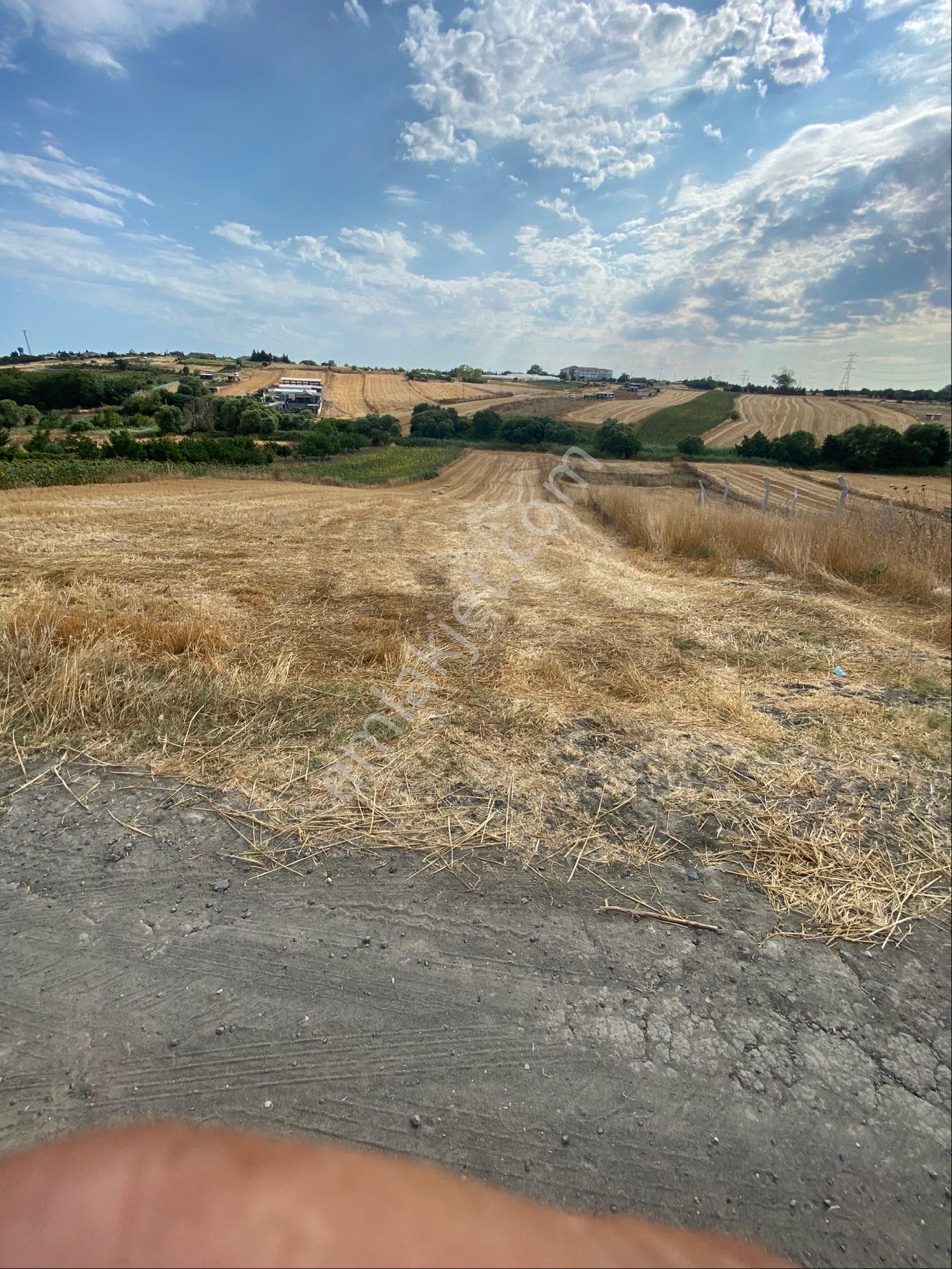 Istanbul Silivri Büyukkılıçlı Satılık Arsa - Görsel 7