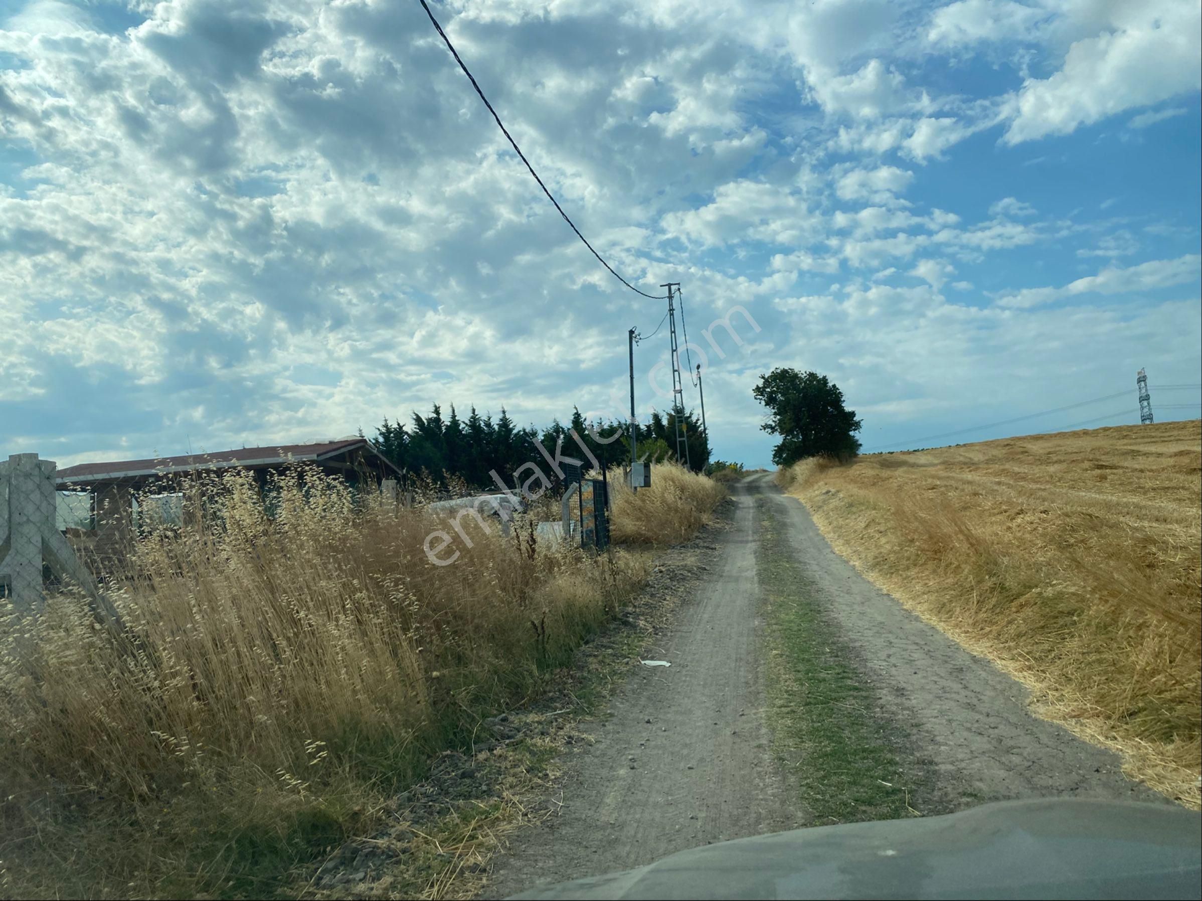 Istanbul Silivri Büyukkılıçlı Satılık Arsa - Görsel 9