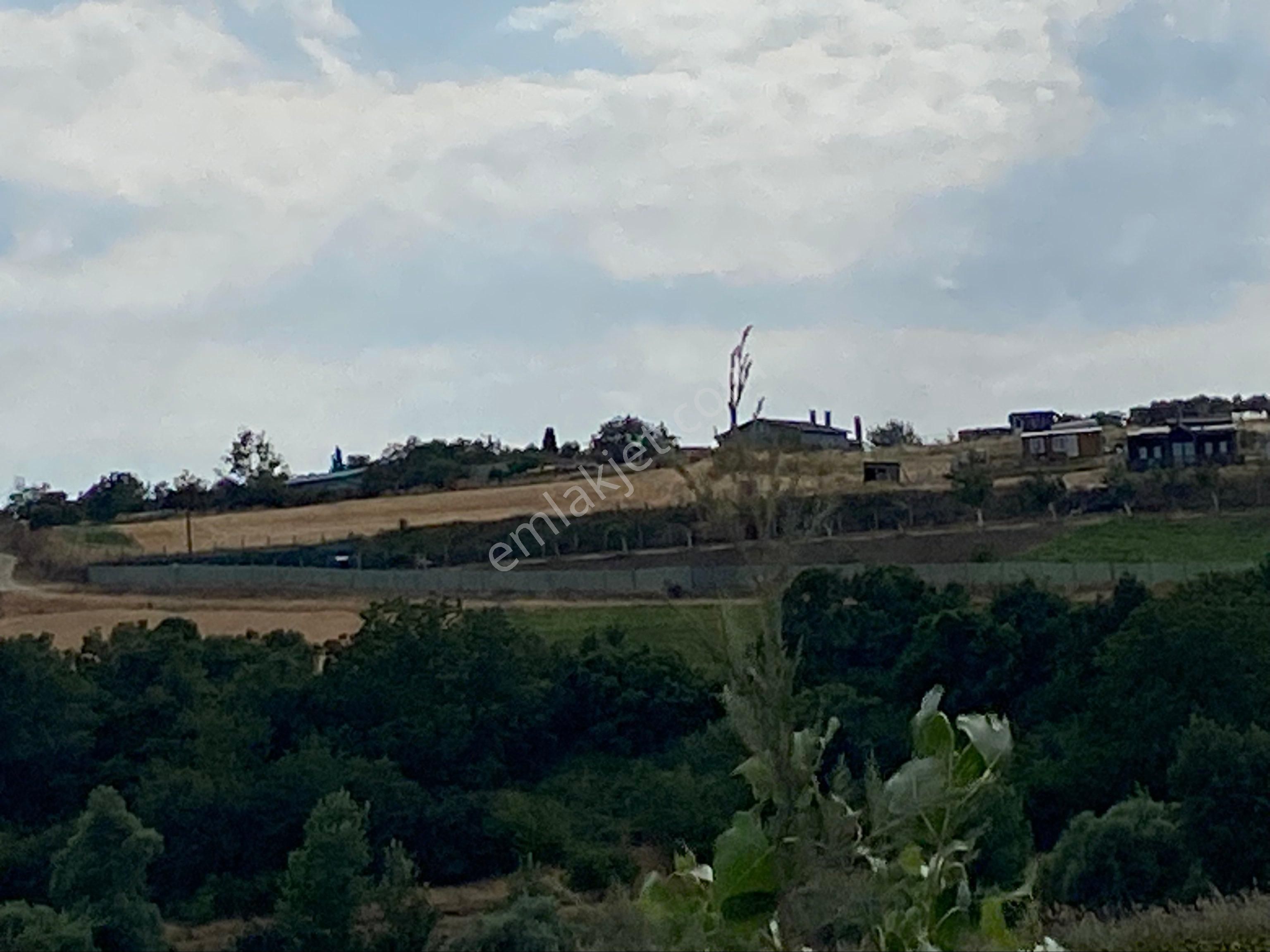 Istanbul Silivri Büyukkılıçlı Satılık Arsa - Görsel 26