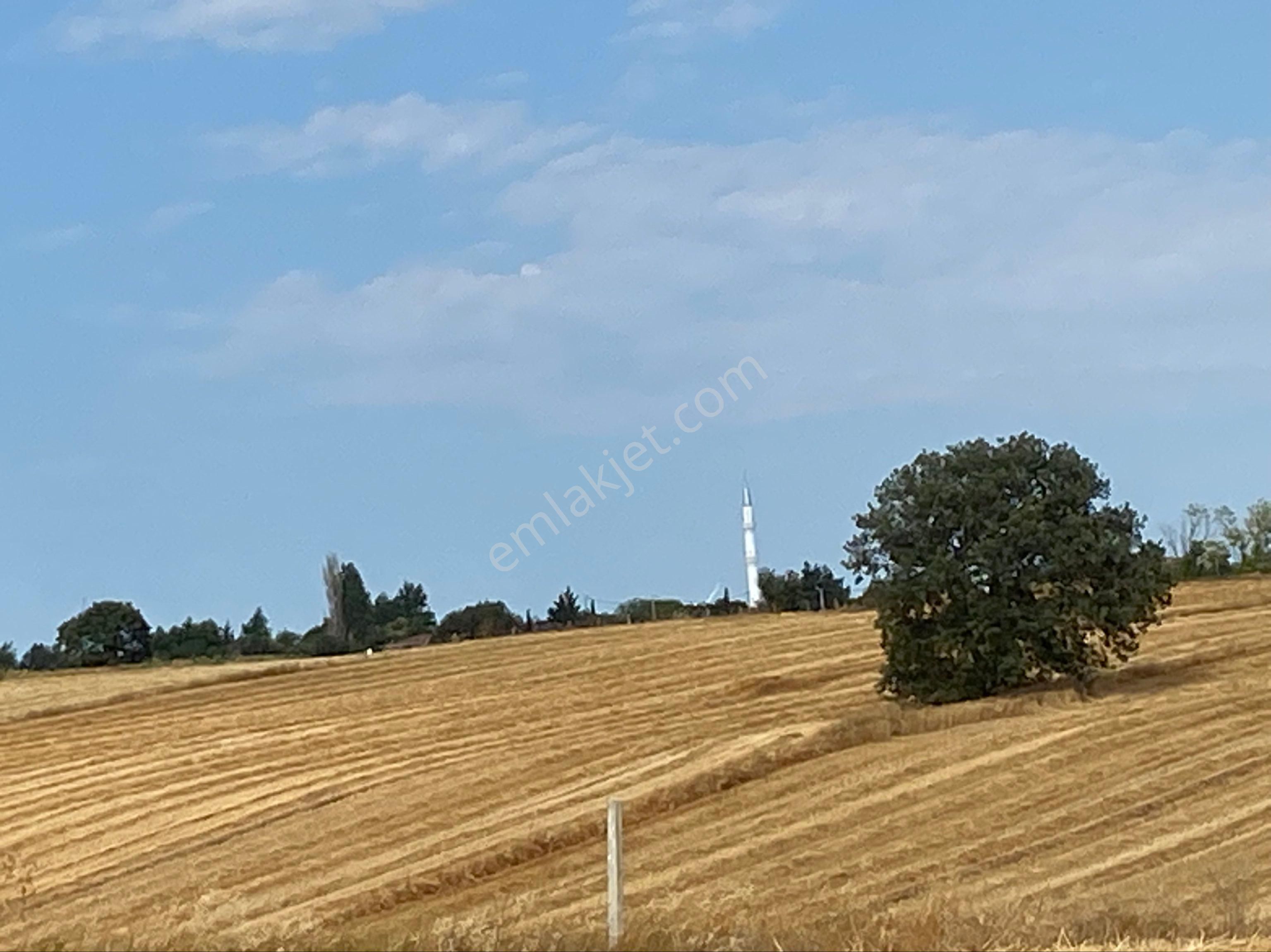 Istanbul Silivri Büyukkılıçlı Satılık Arsa - Görsel 15