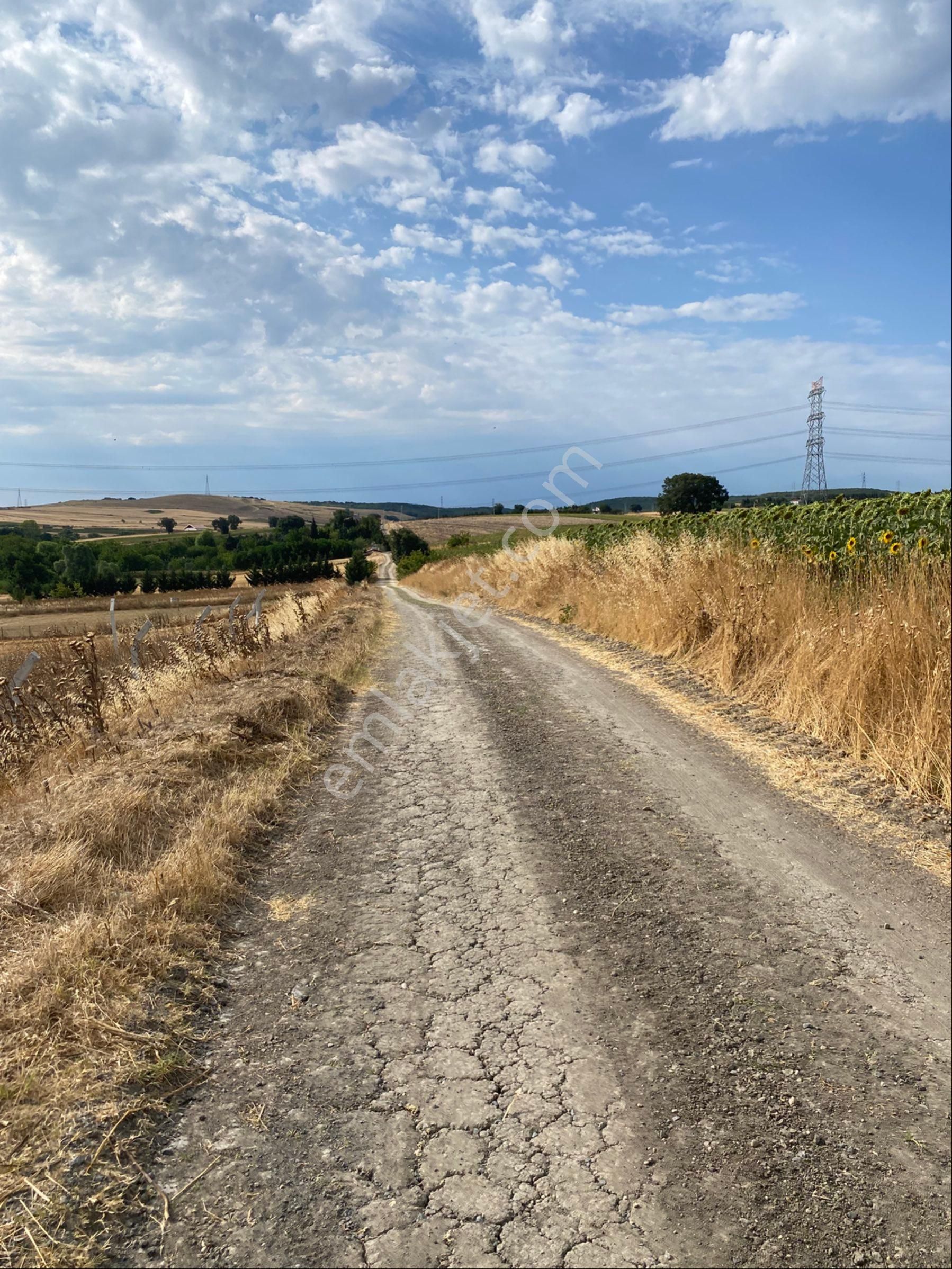 Istanbul Silivri Büyukkılıçlı Satılık Arsa - Görsel 6