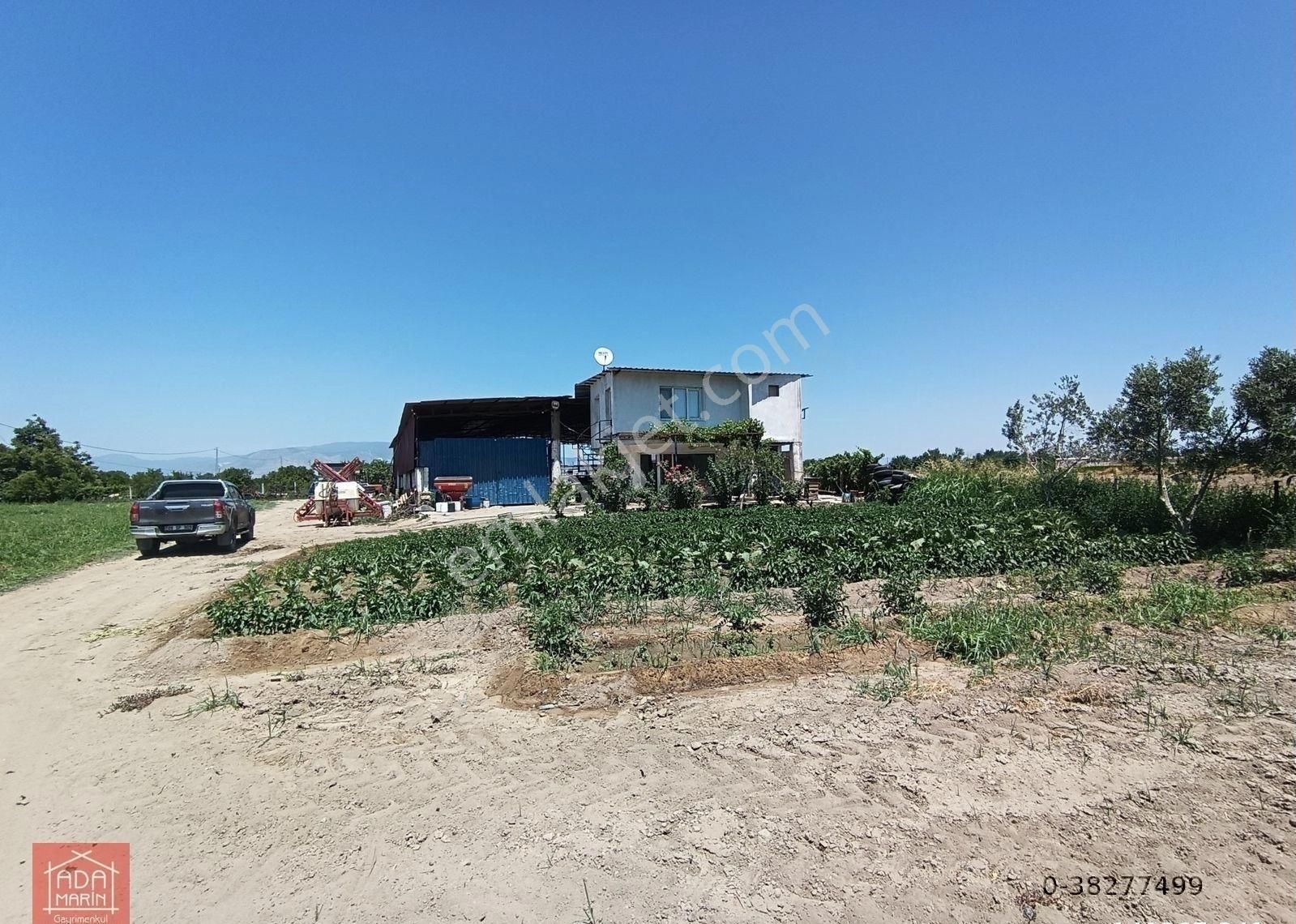 Söke Bağarası Yeniköyde 12.550 M2 Tarla İçerisinde Satılık Çiftlik