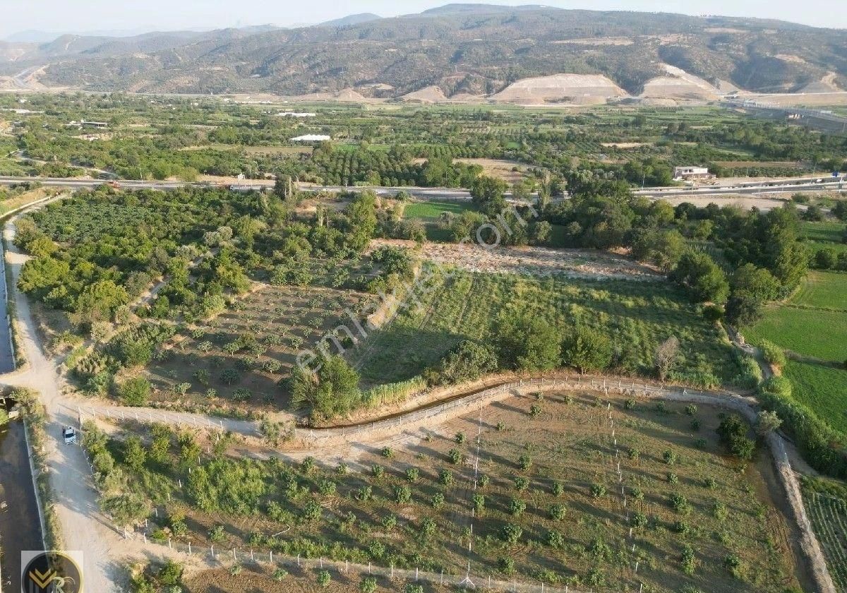 Mirac Emlaktan Aydın Buharkent Te 500 M2 Tel Orgulu Meyve Bahçemiz Satılıktır